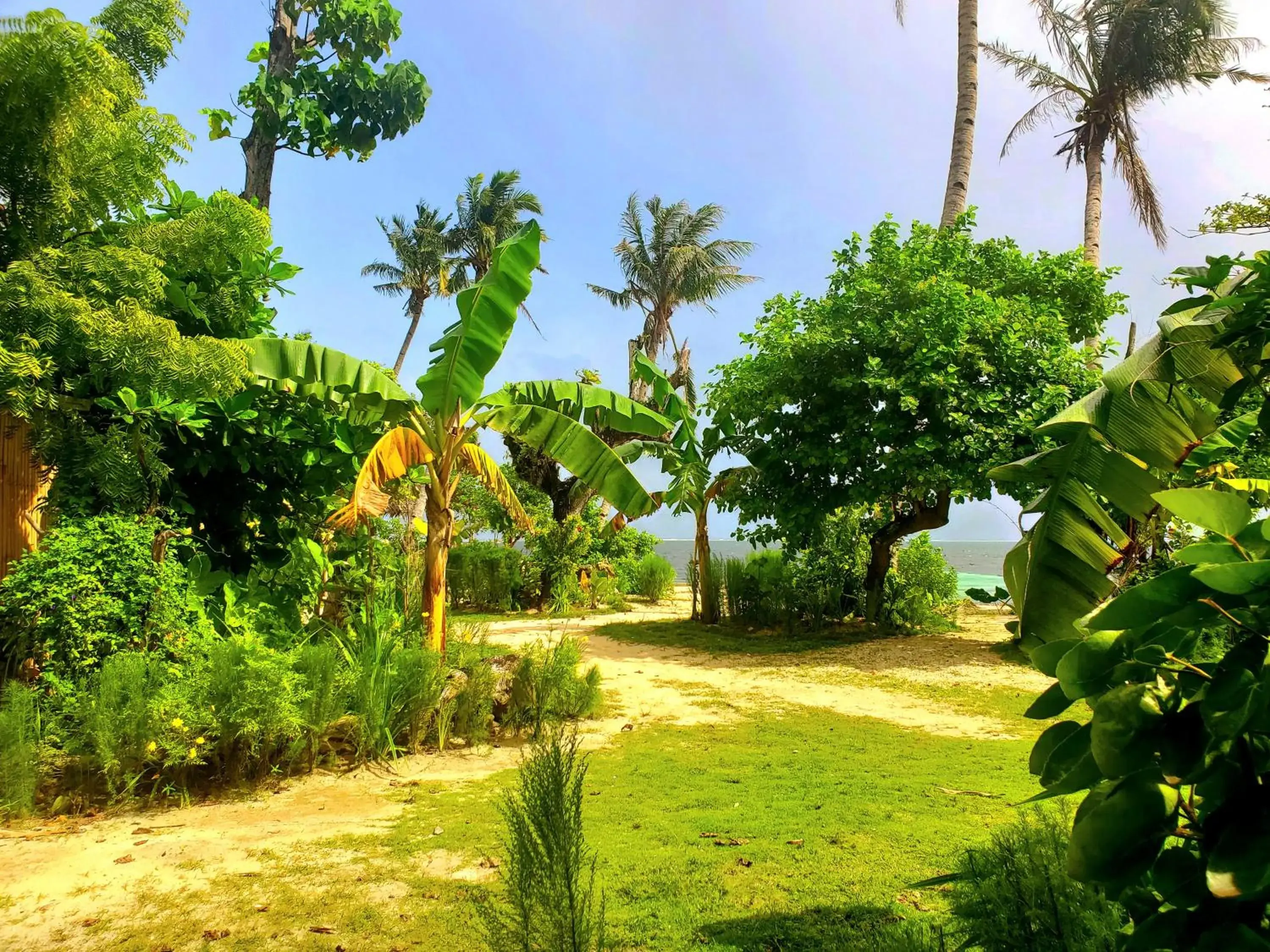 Deluxe Double Room with Extra Bed - single occupancy in Patrick's on the Beach Resort Deluxe Double Room with Extra Bed - single occupancy in Patrick's on the Beach Resort