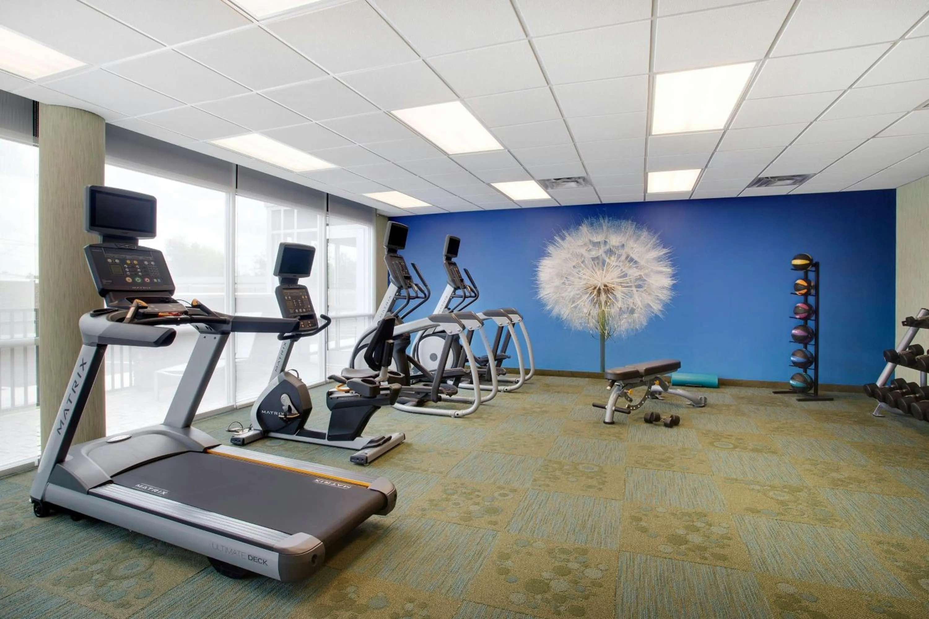Fitness centre/facilities in SpringHill Suites by Marriott Murray