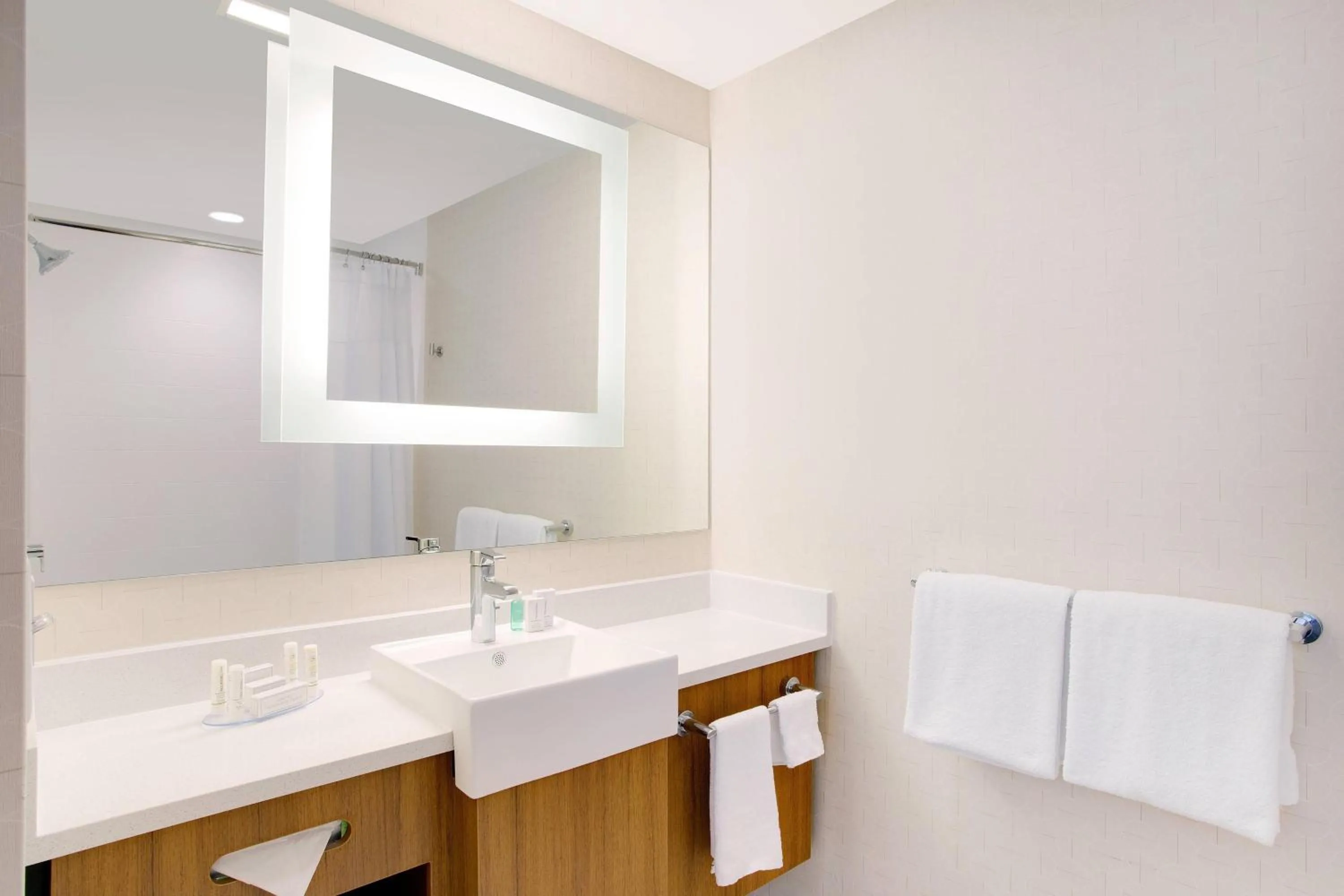 Bathroom in SpringHill Suites by Marriott Murray