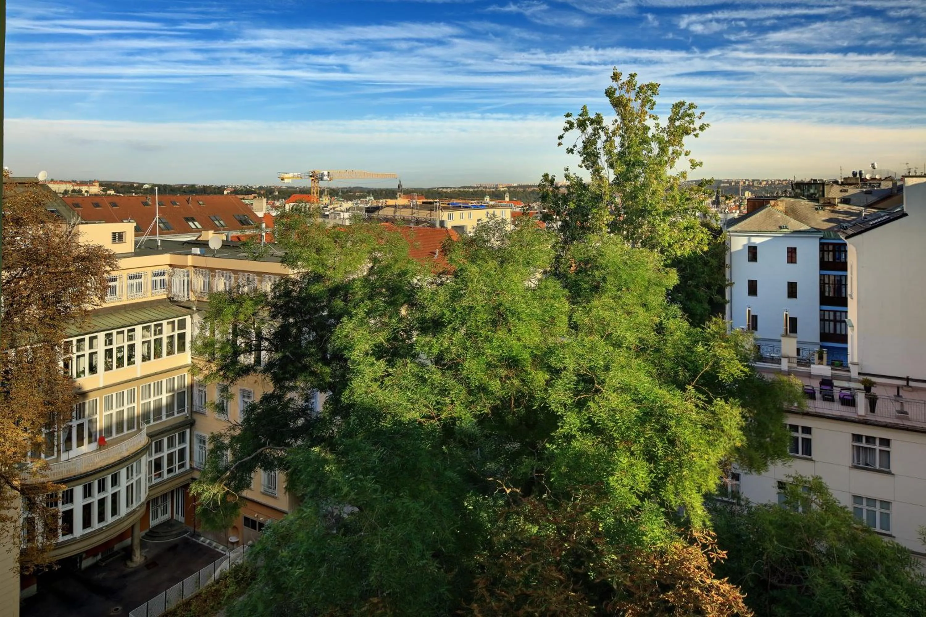 City view in Salvator Boutique Hotel vegan-friendly