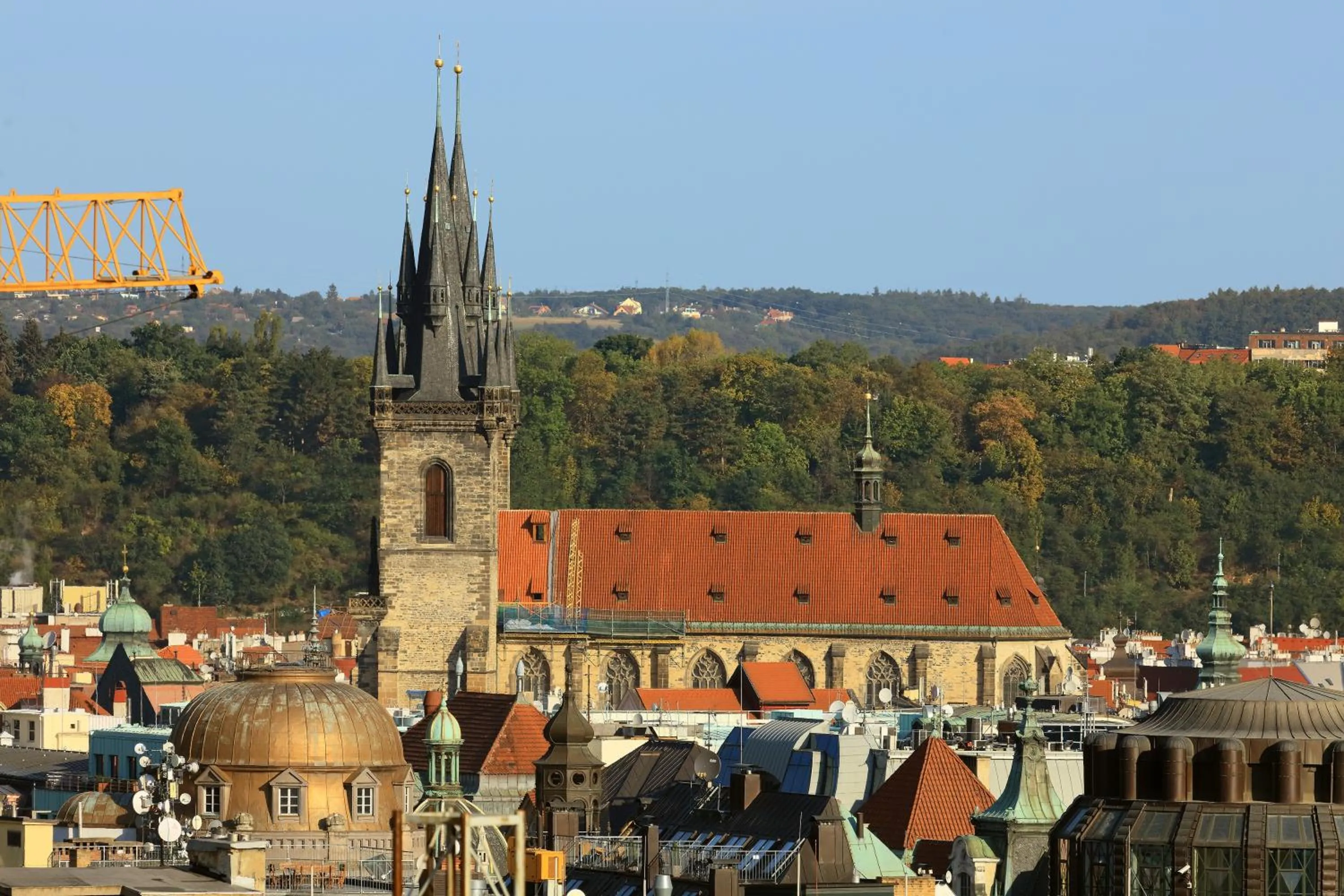 City view in Salvator Boutique Hotel vegan-friendly