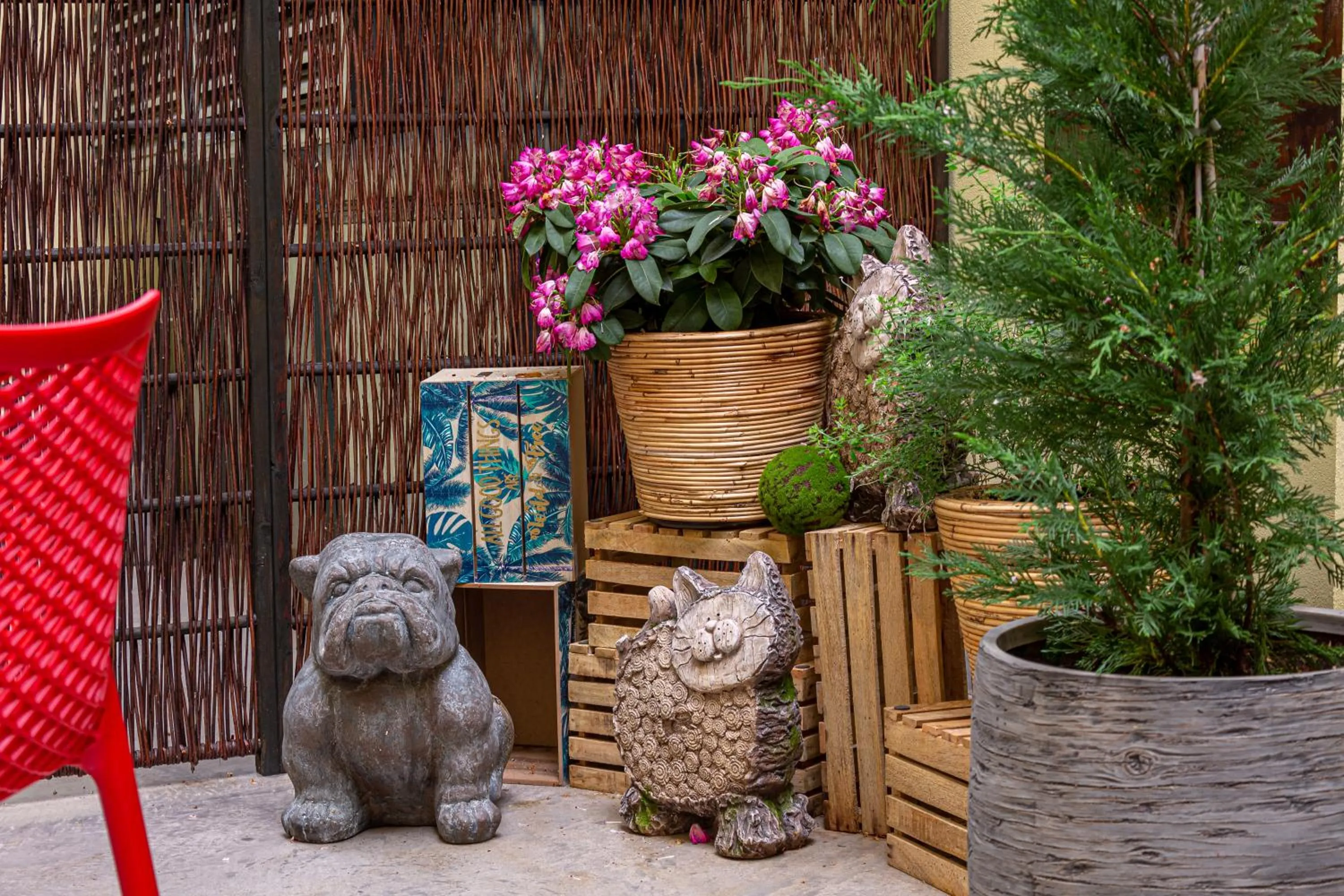 Garden in Salvator Boutique Hotel vegan-friendly