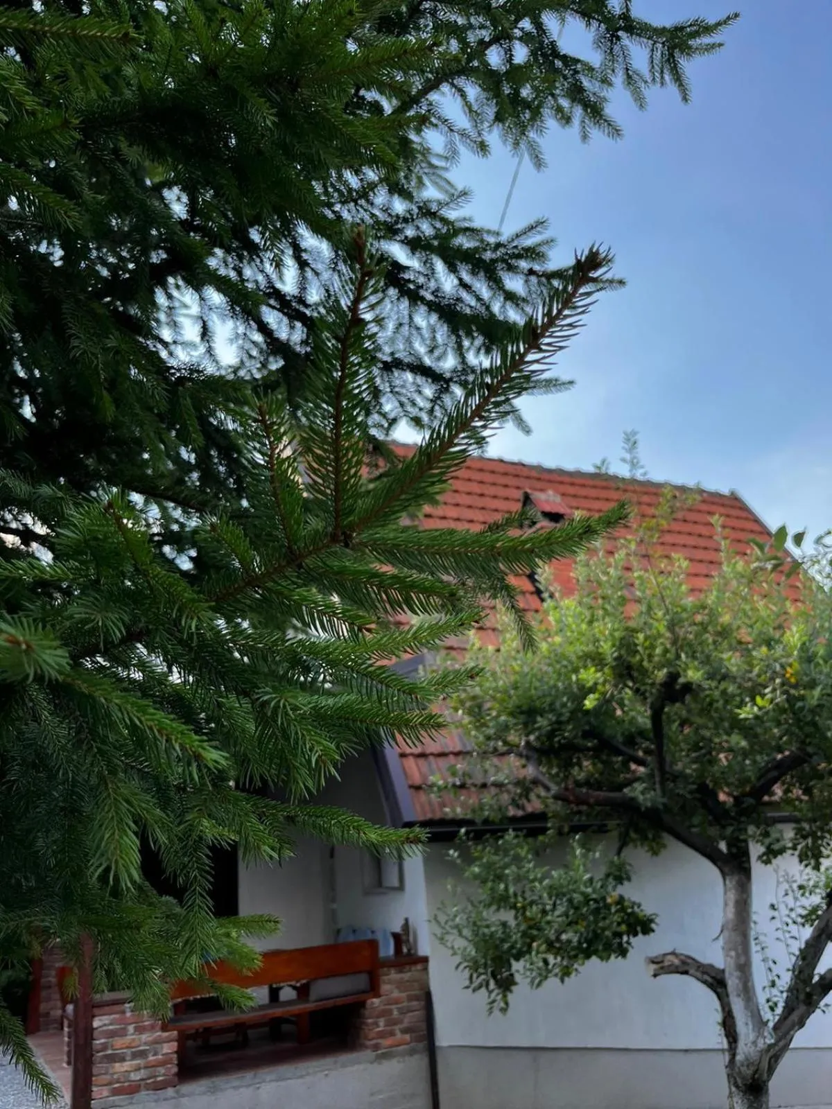 Holiday Home Amila