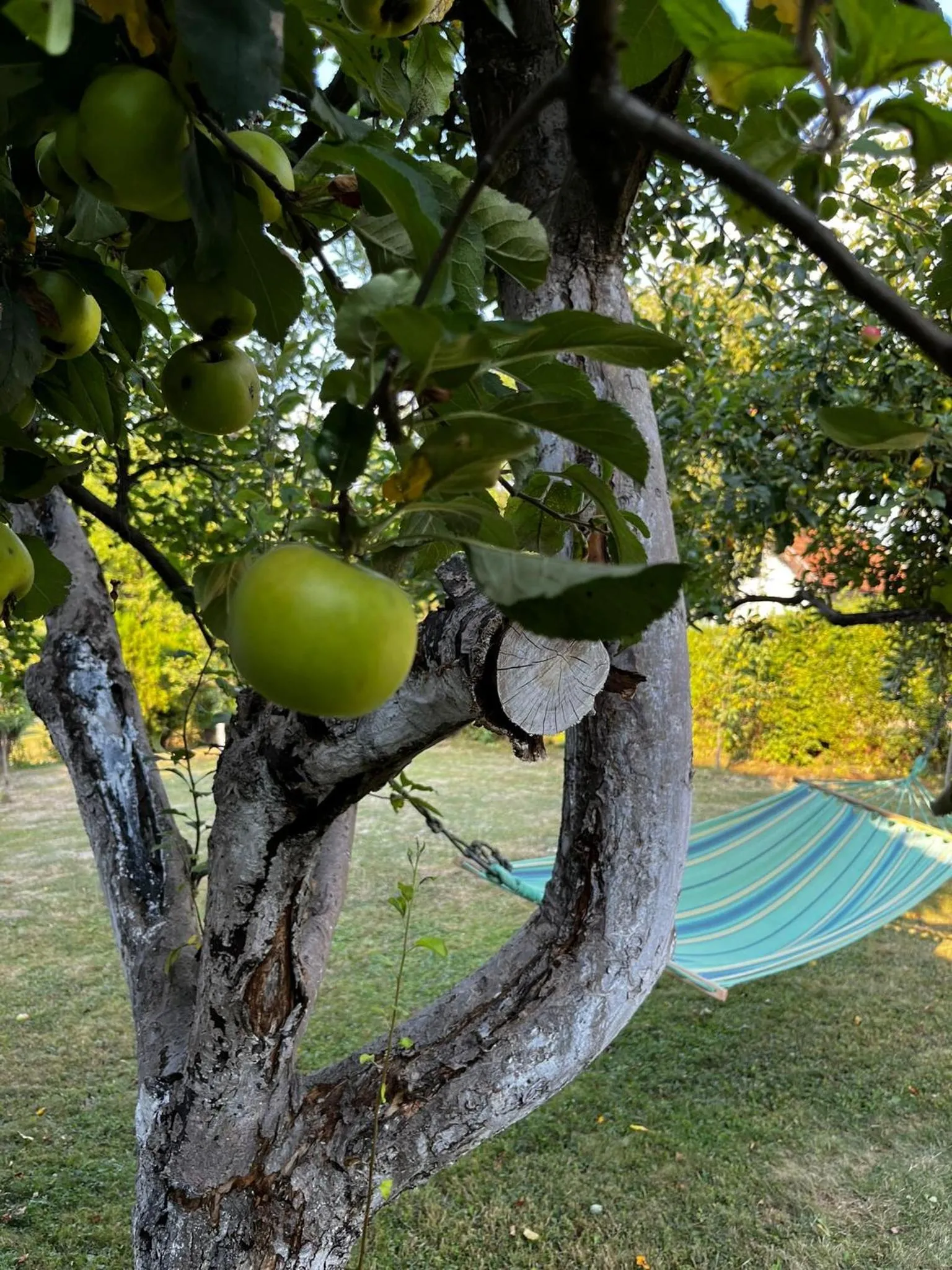 Holiday Home Amila