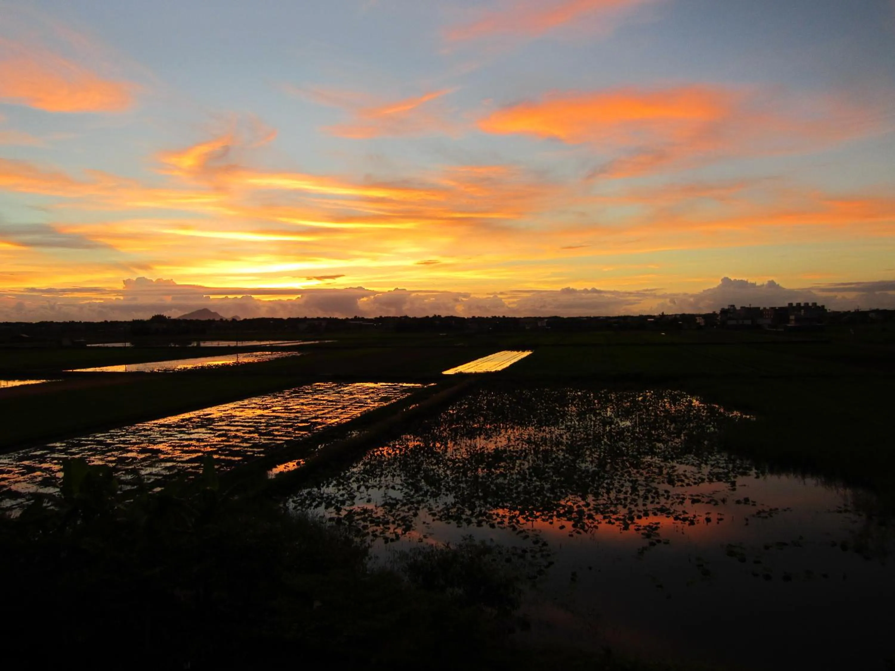 Off site in Star Shine B&B