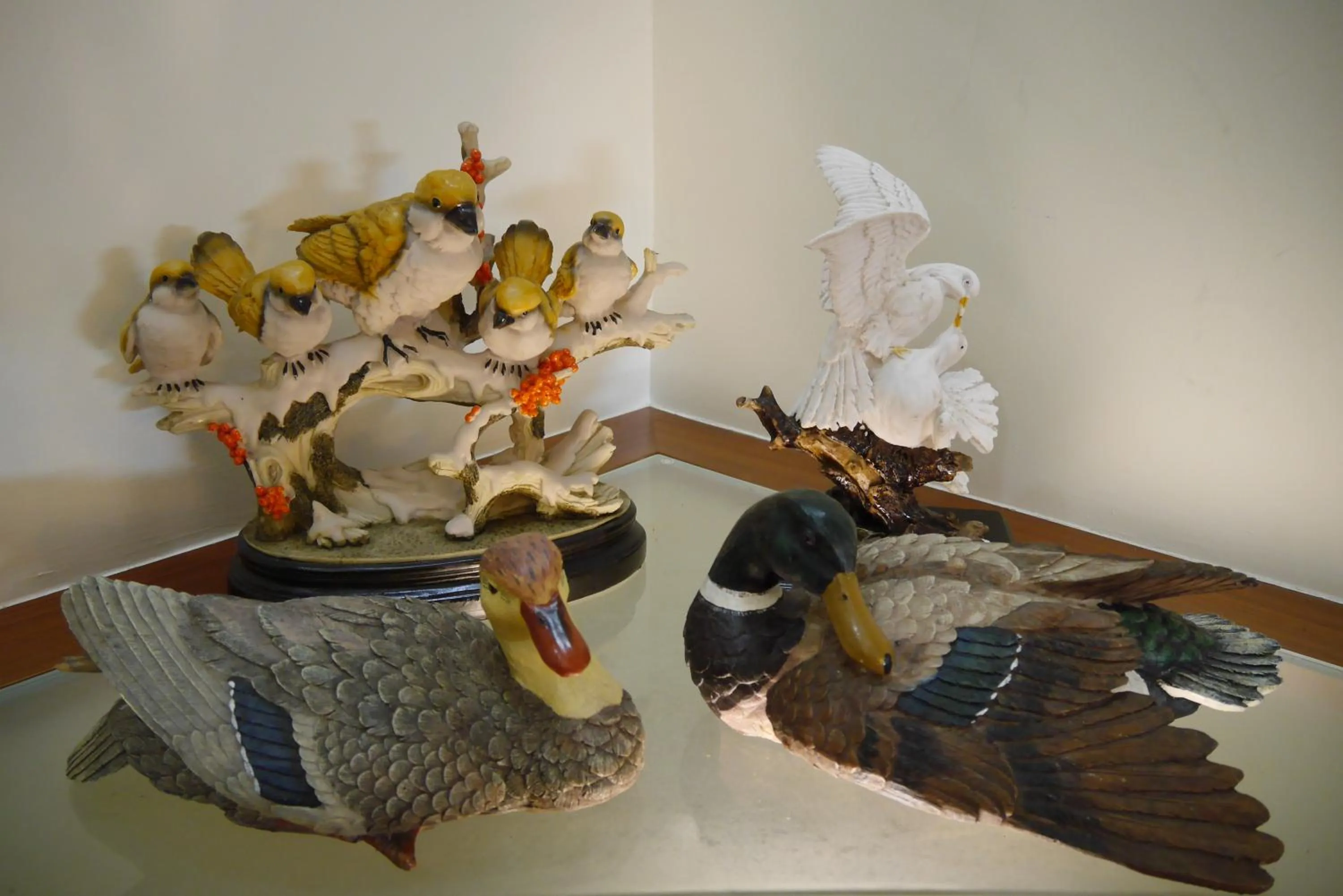 Patio in Star Shine B&B