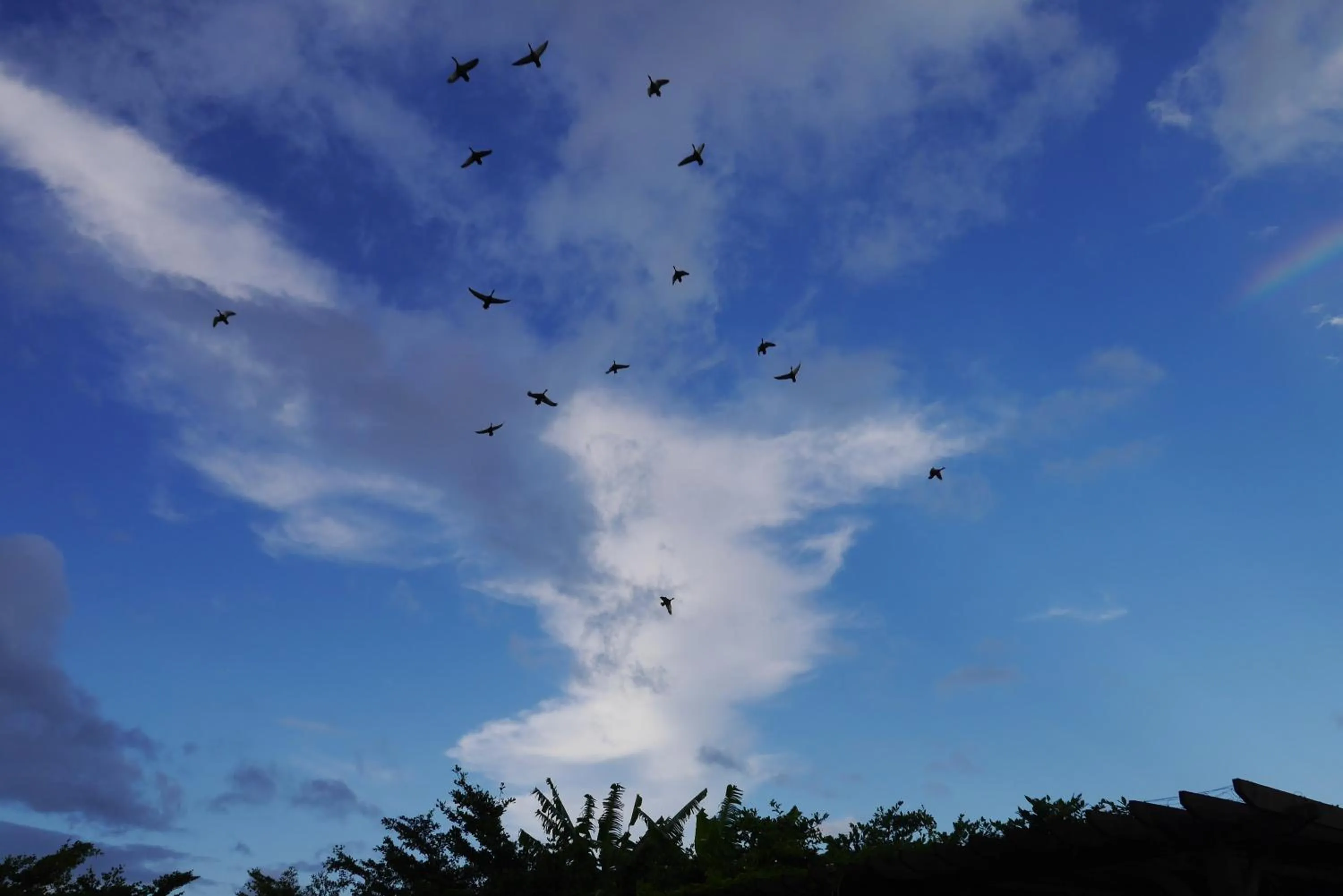 Off site in Star Shine B&B