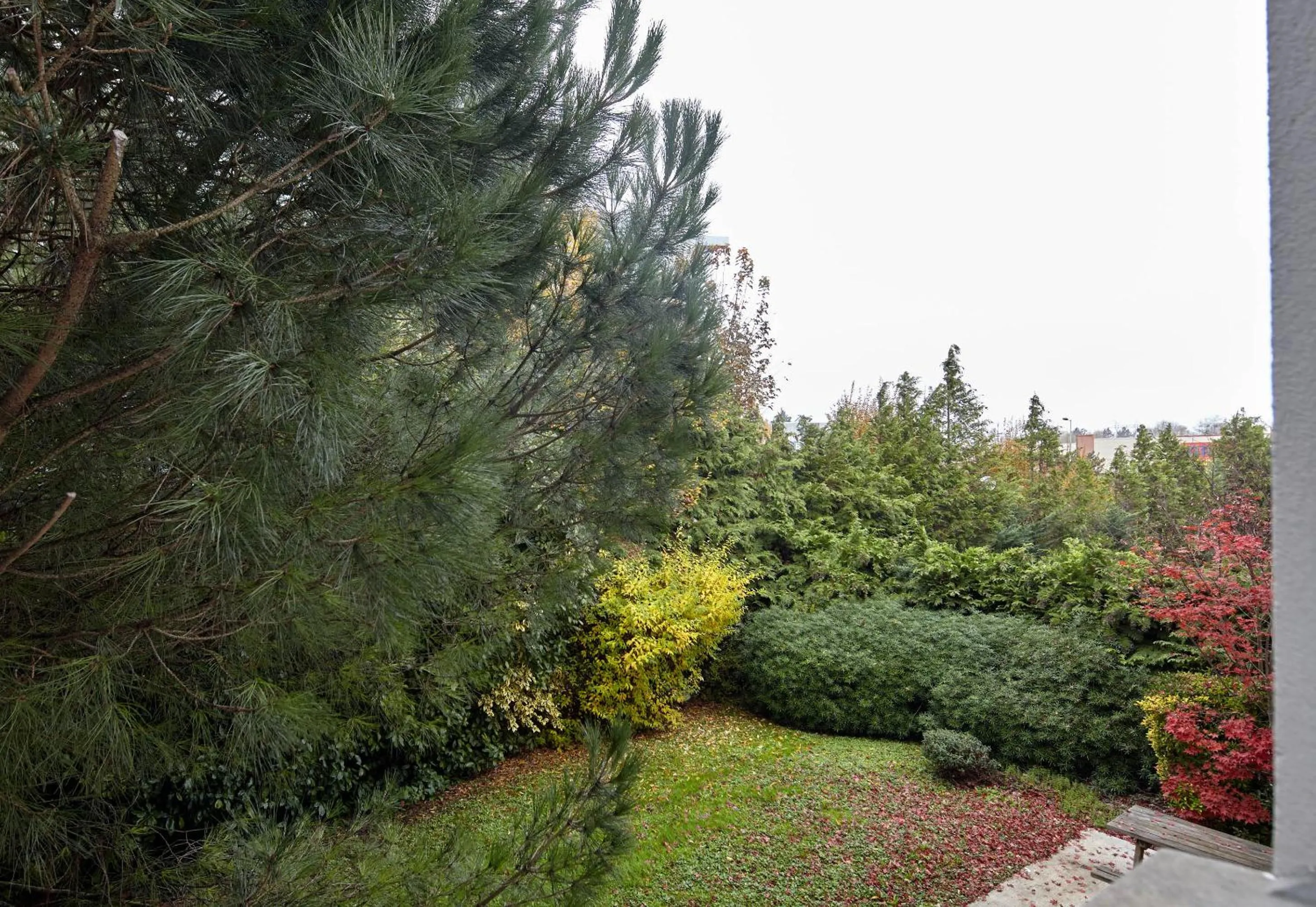 Natural landscape in B&B HOTEL Evry Lisses 2