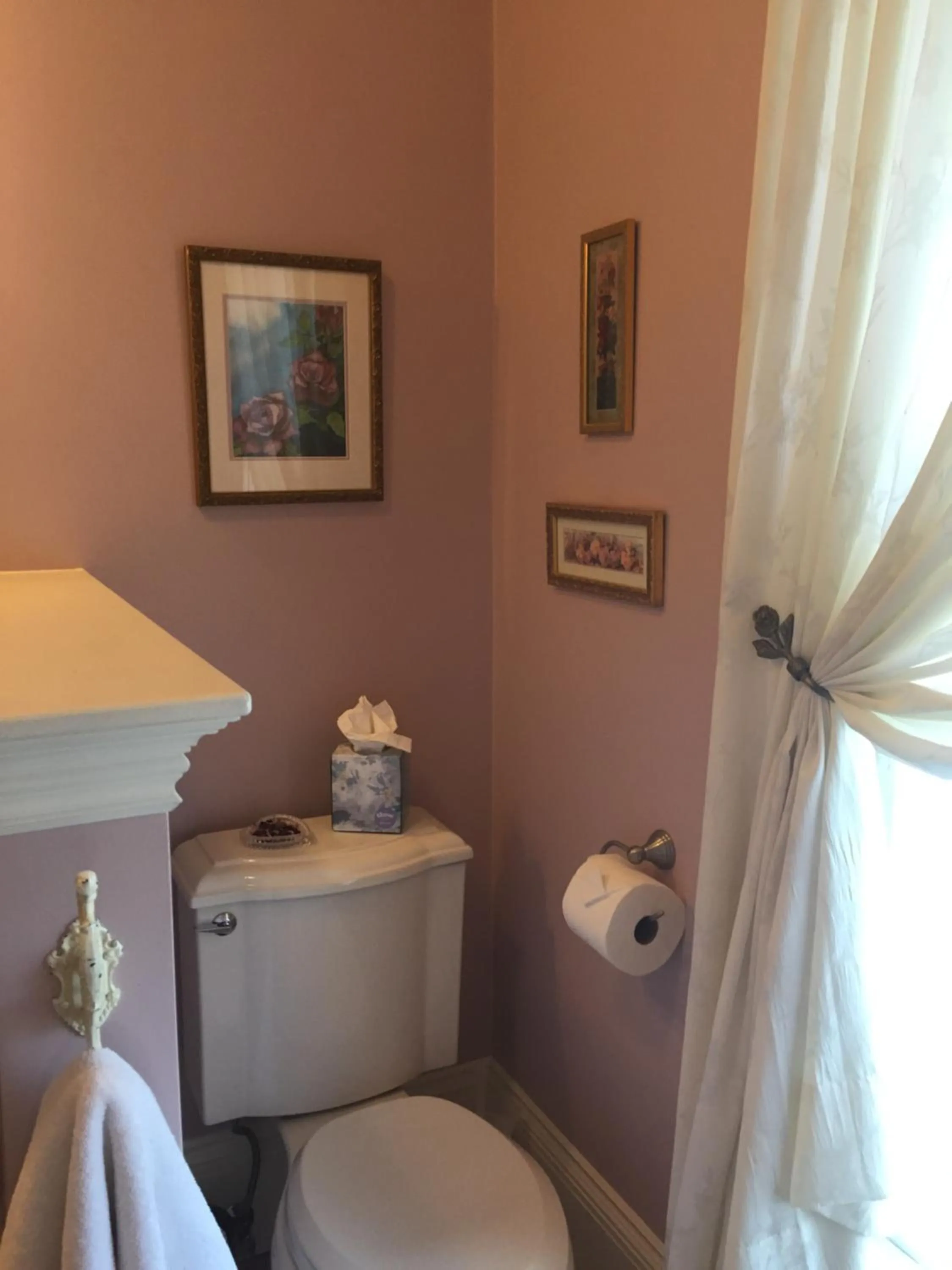 Toilet in The Whitmore Inn