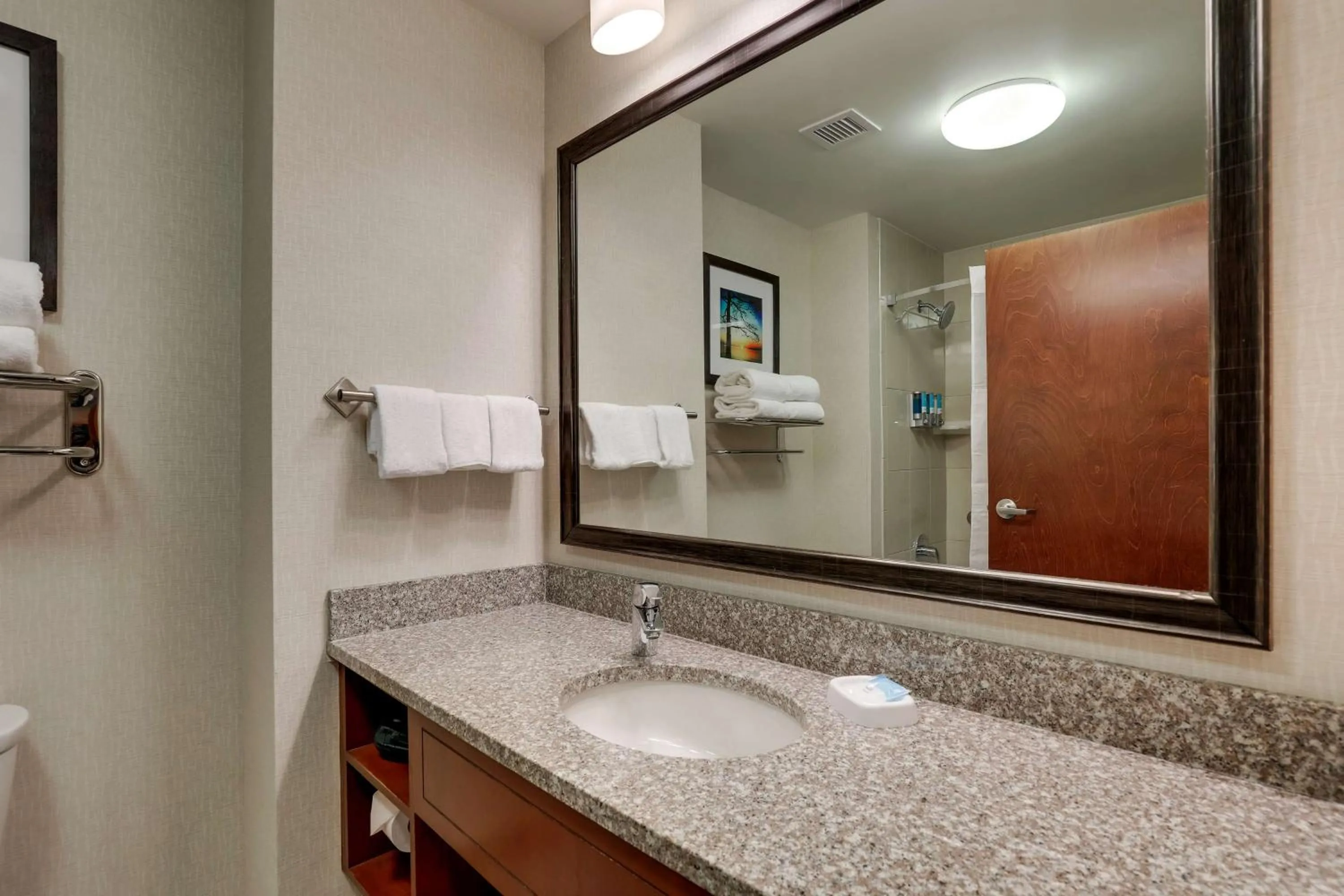 Bathroom in Drury Inn & Suites Charlotte Arrowood