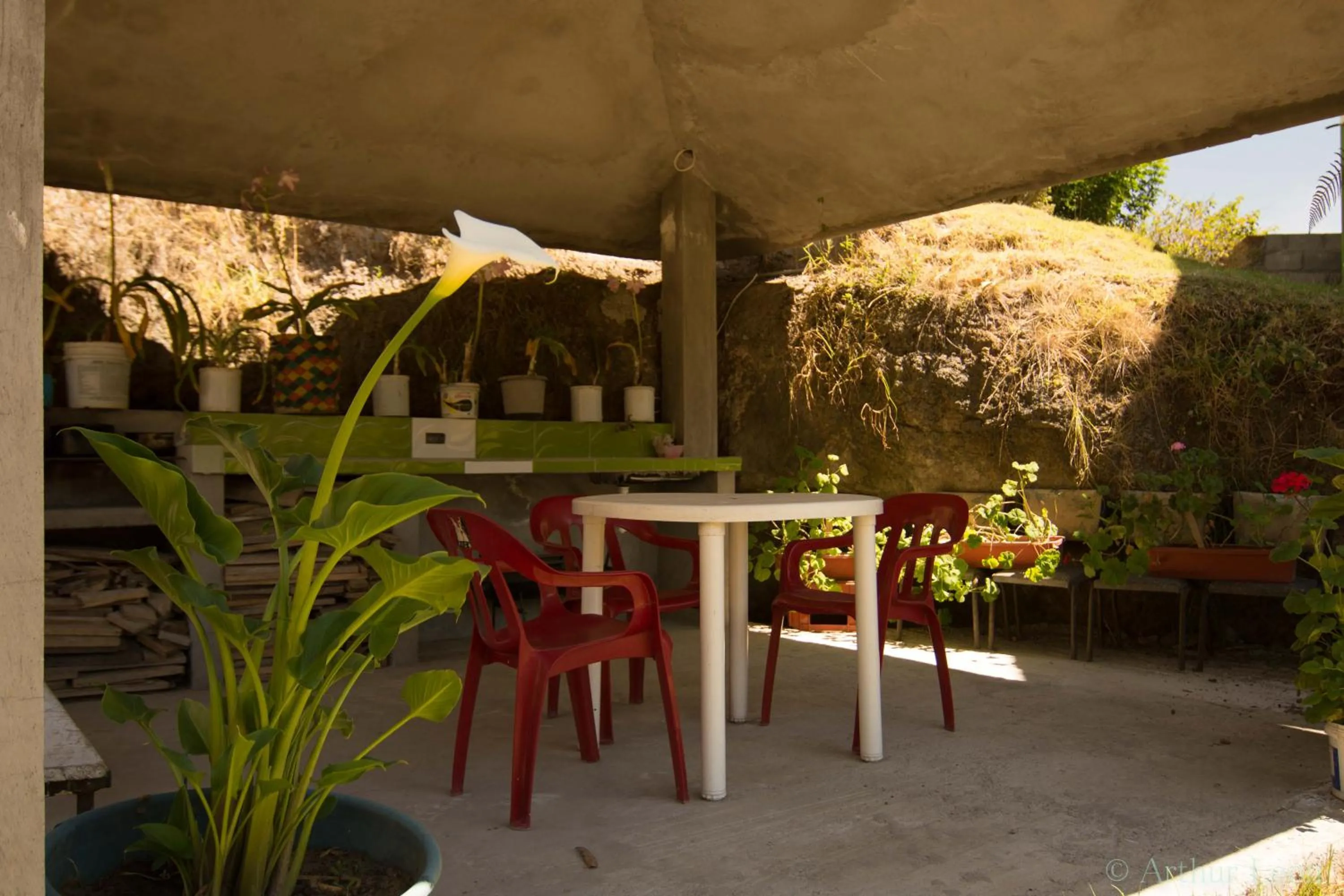 Casa Huespedes El Molino