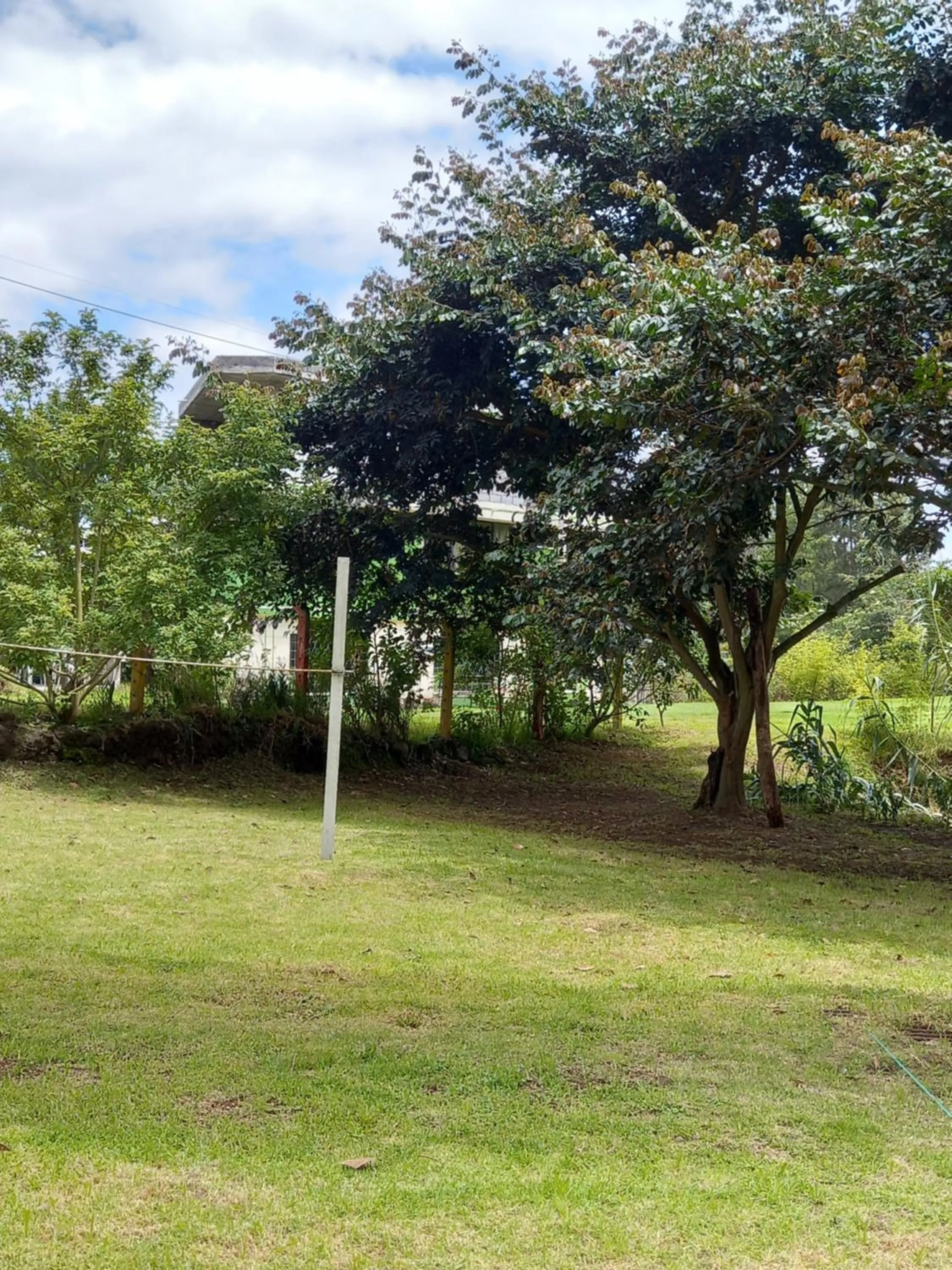 Casa Huespedes El Molino
