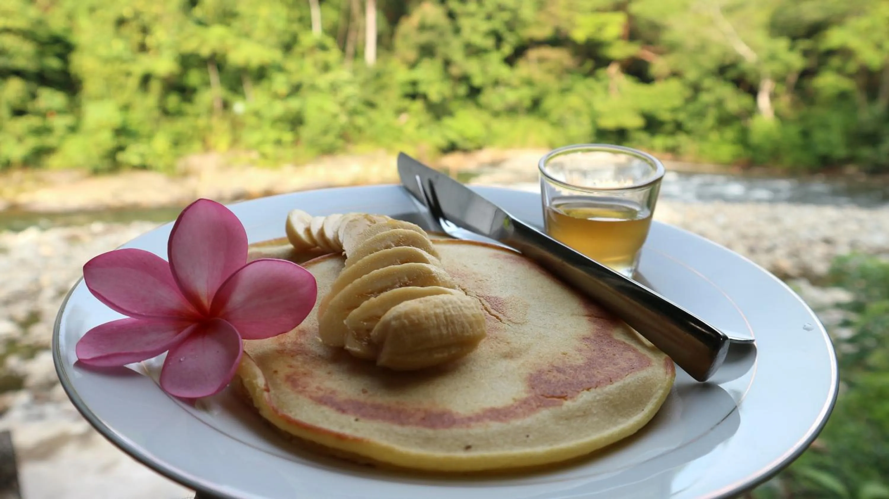 Jungle Inn Bukit lawang