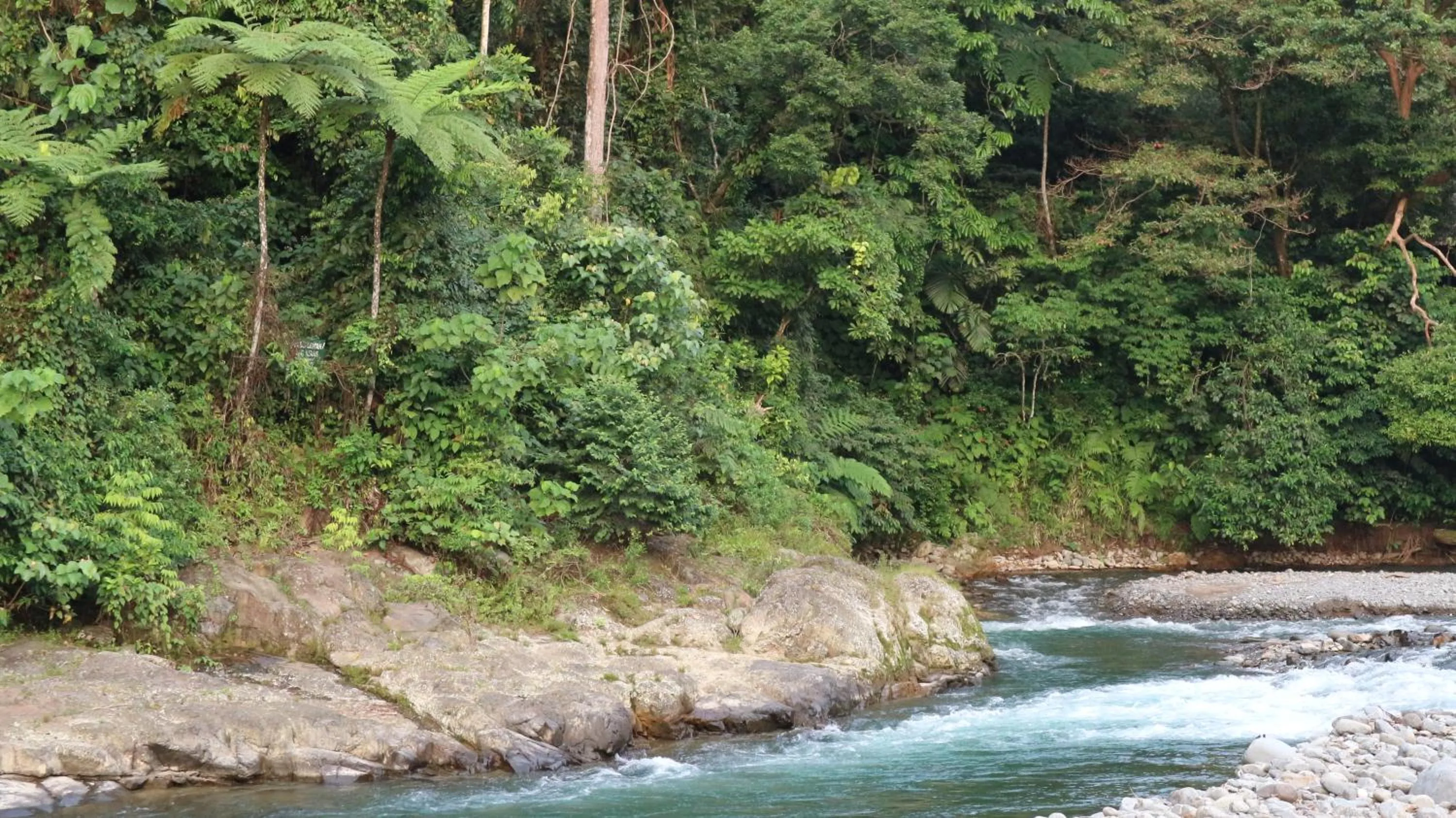 Natural landscape in Jungle Inn Bukit lawang