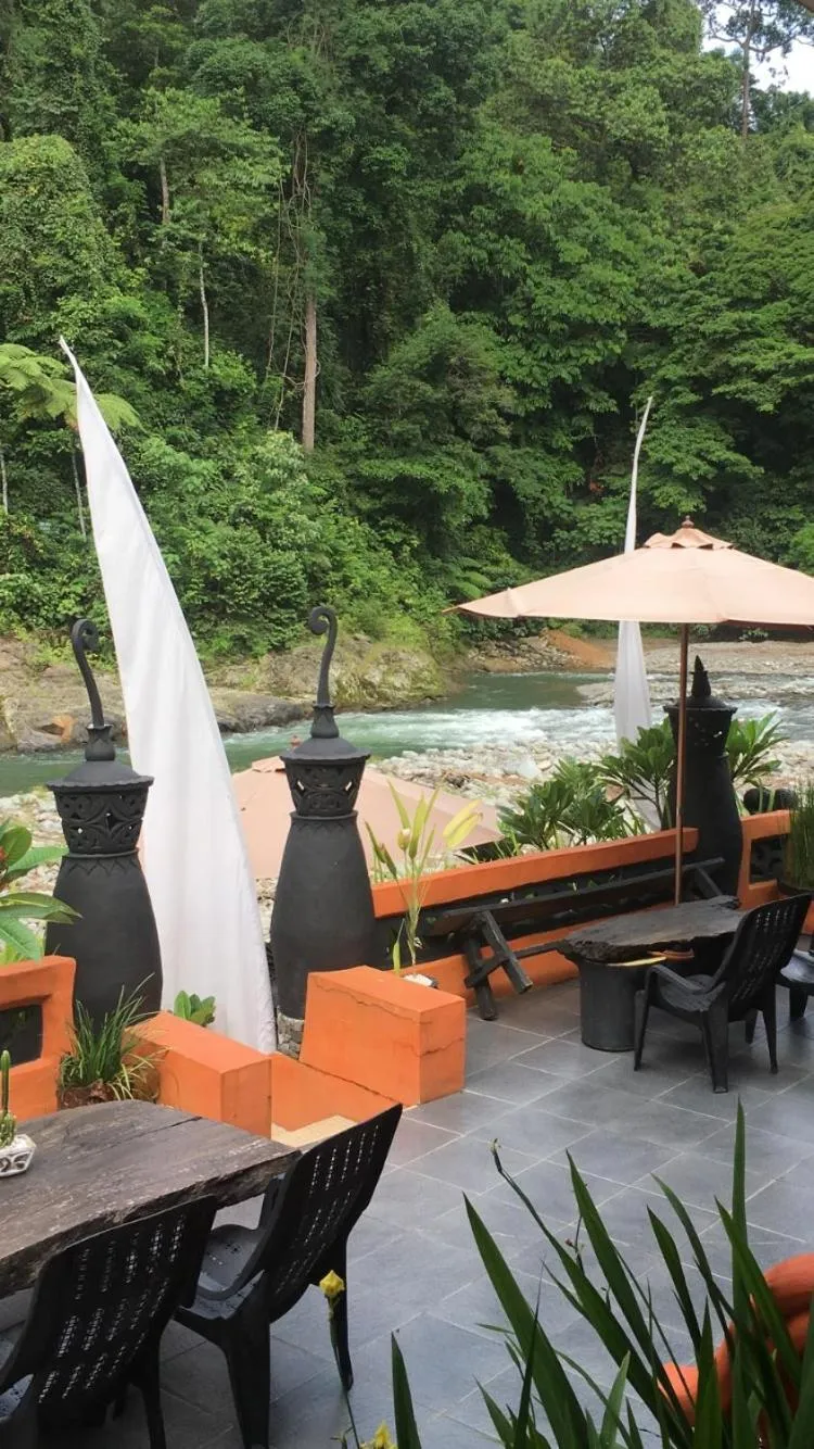Jungle Inn Bukit lawang