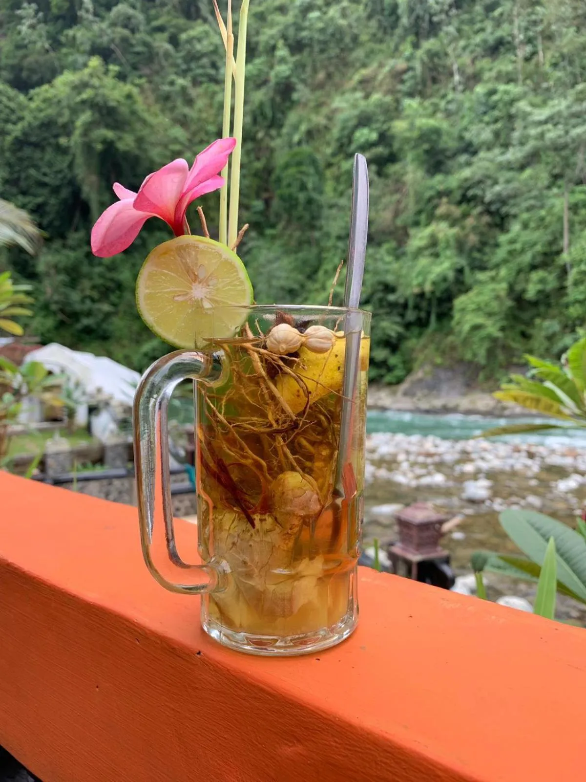 Jungle Inn Bukit lawang