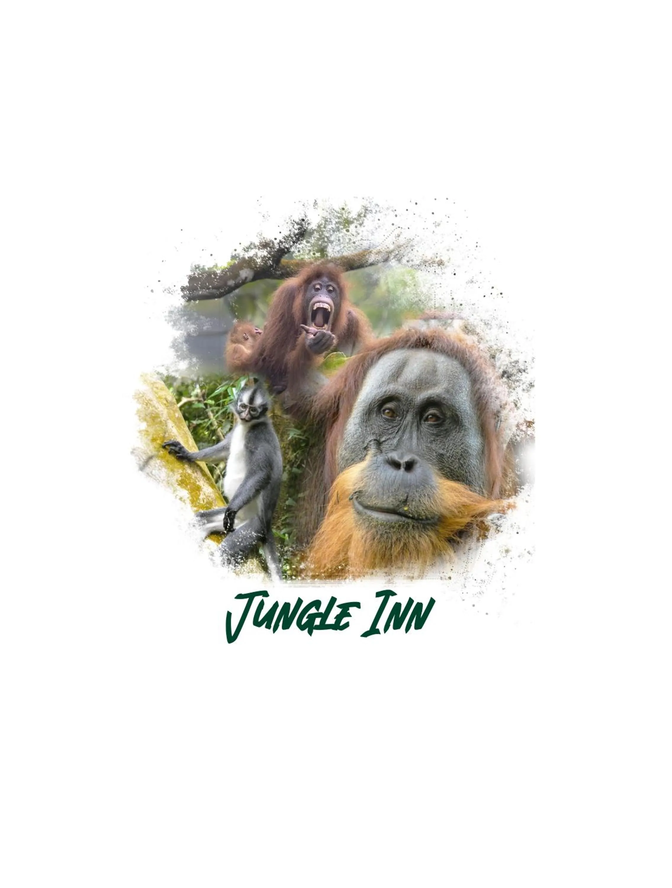 Jungle Inn Bukit lawang