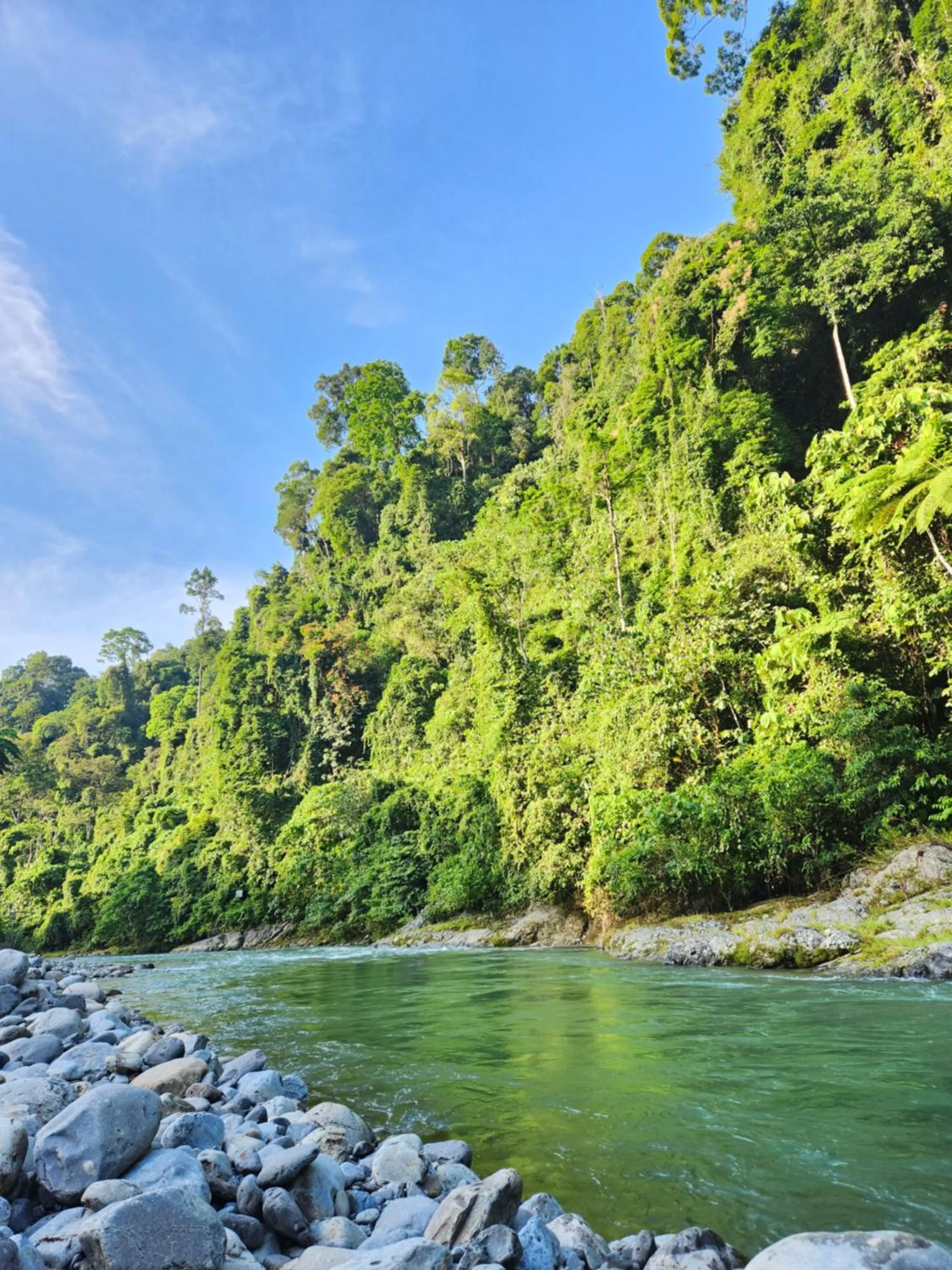 Jungle Inn Bukit lawang