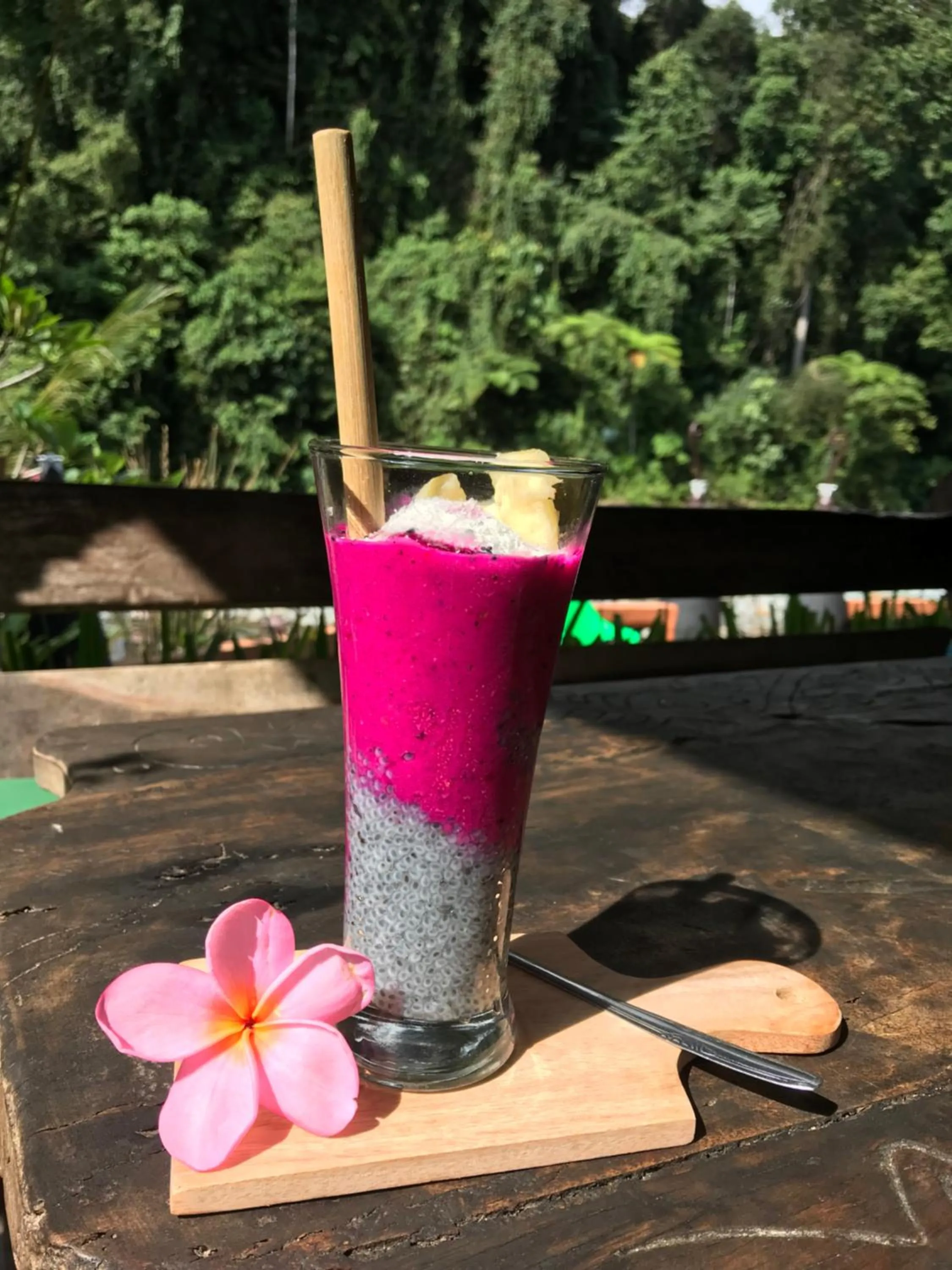 Food in Jungle Inn Bukit lawang