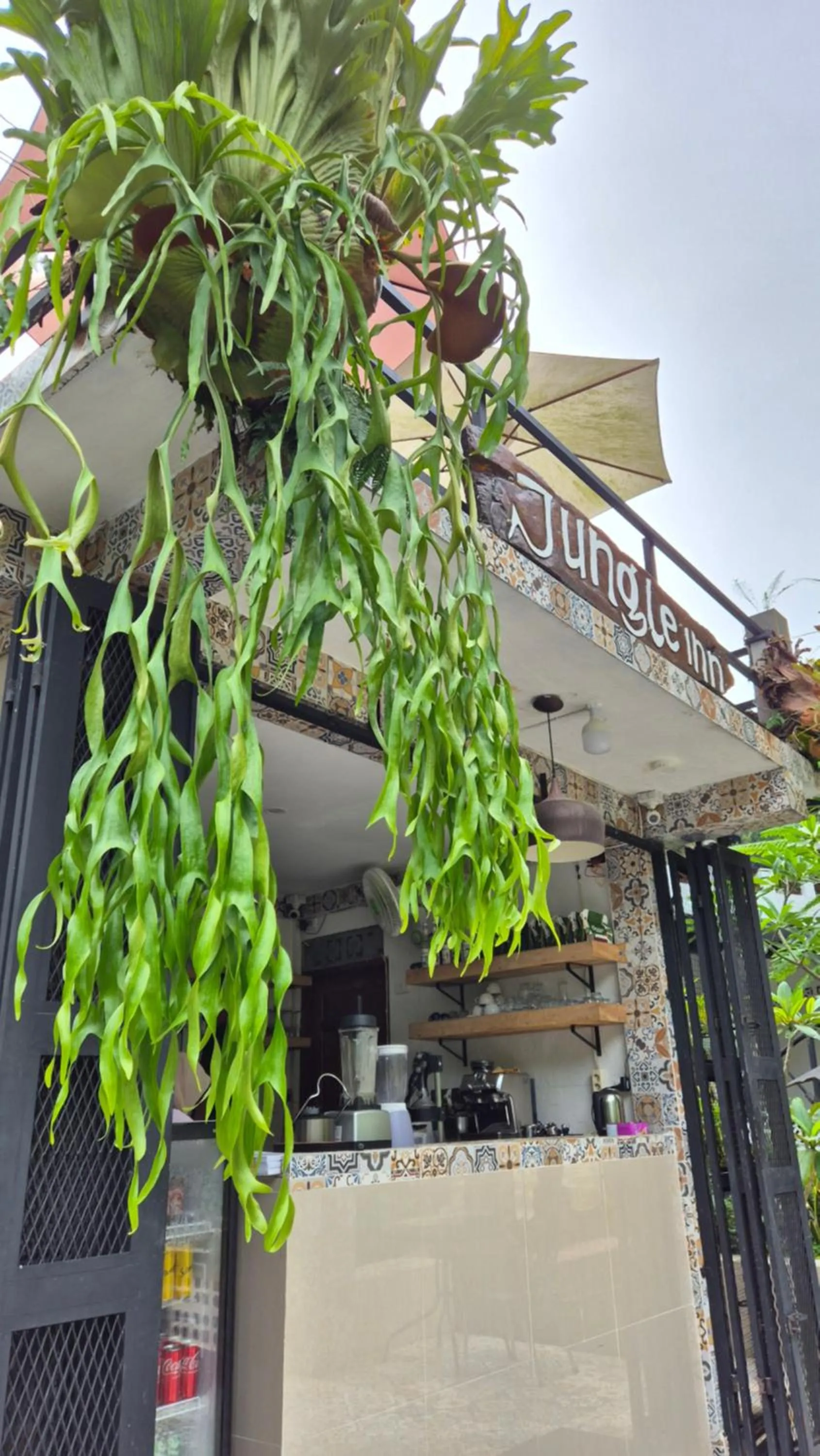Jungle Inn Bukit lawang