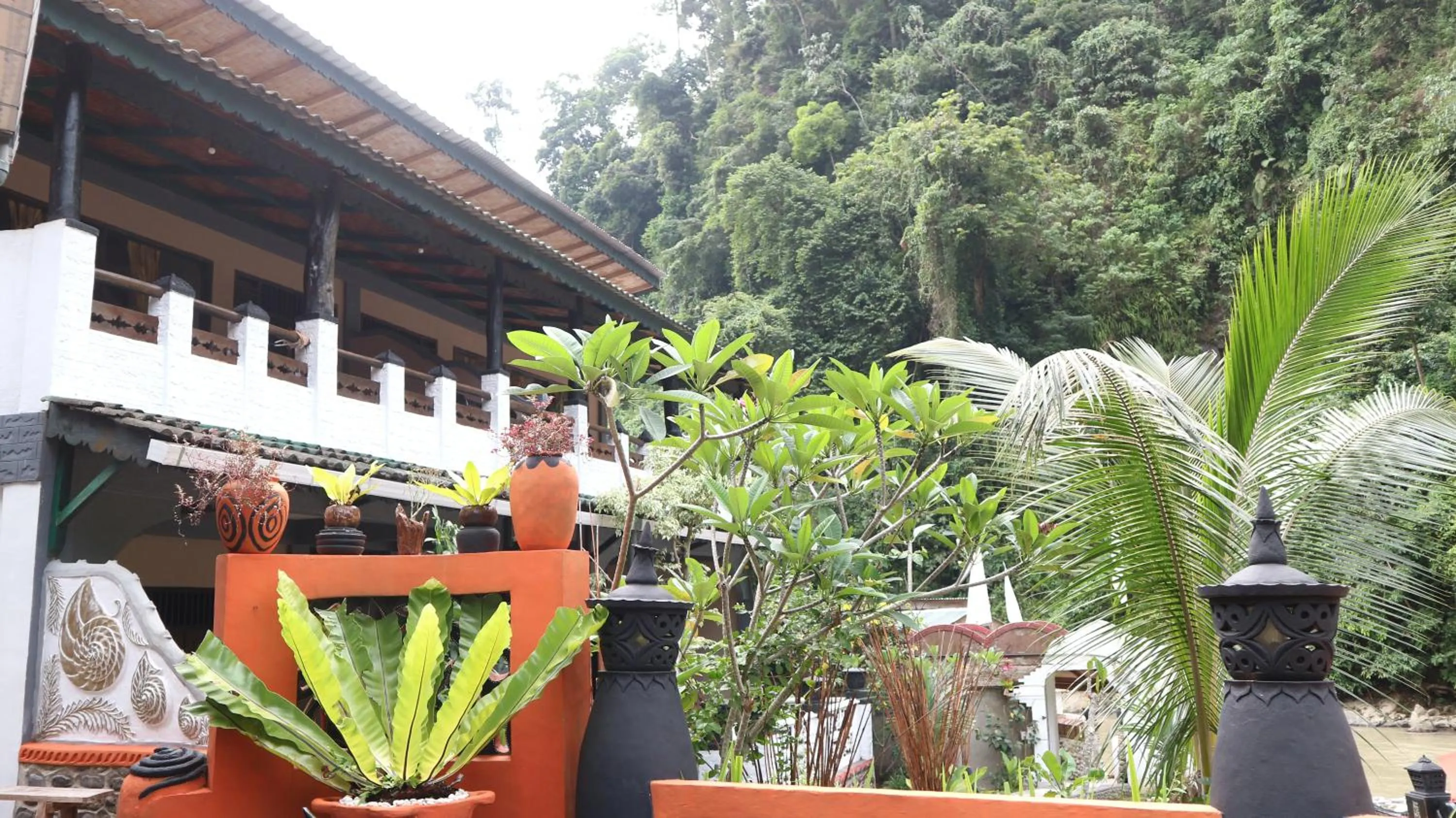 Jungle Inn Bukit lawang