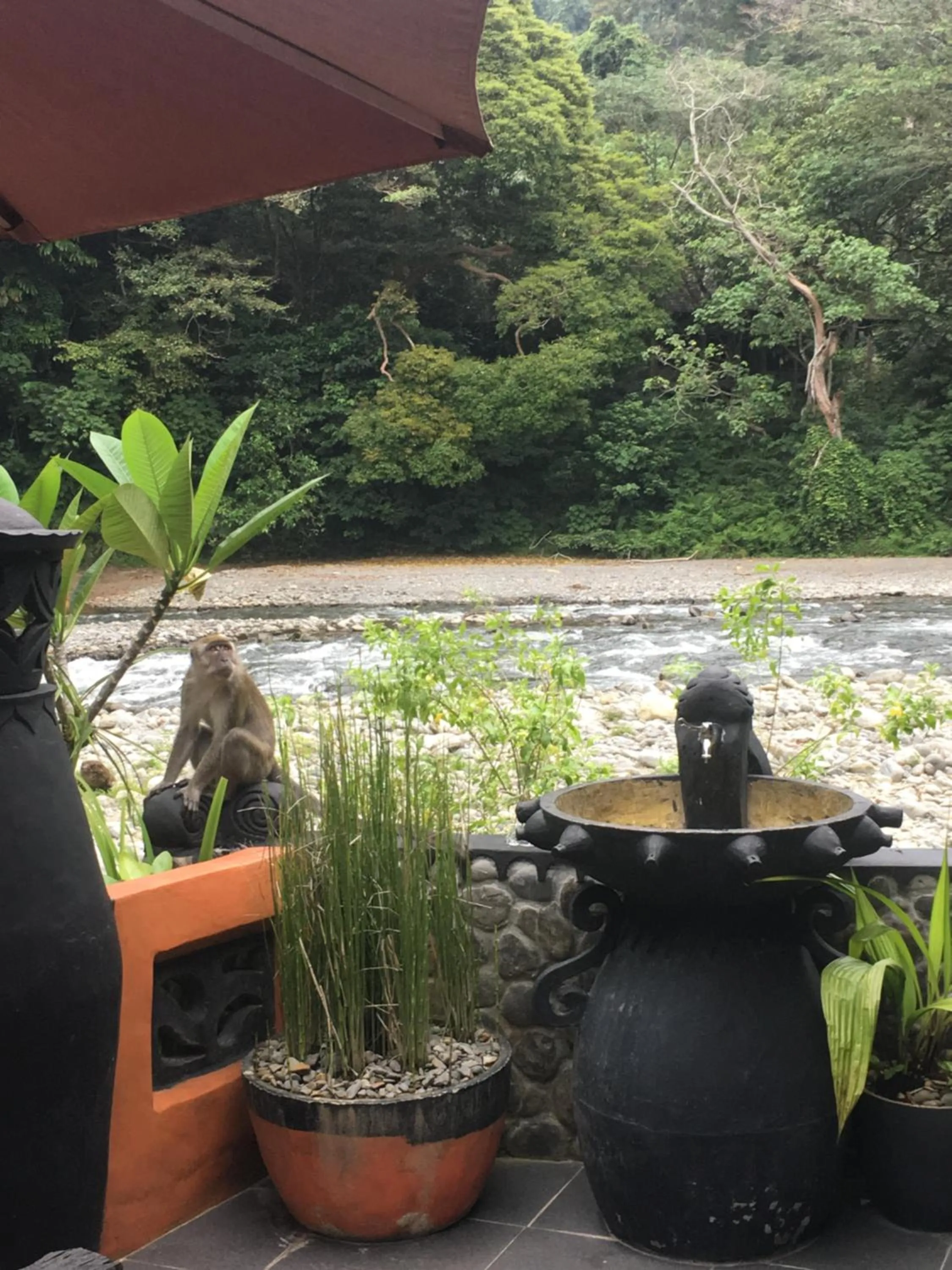 Jungle Inn Bukit lawang