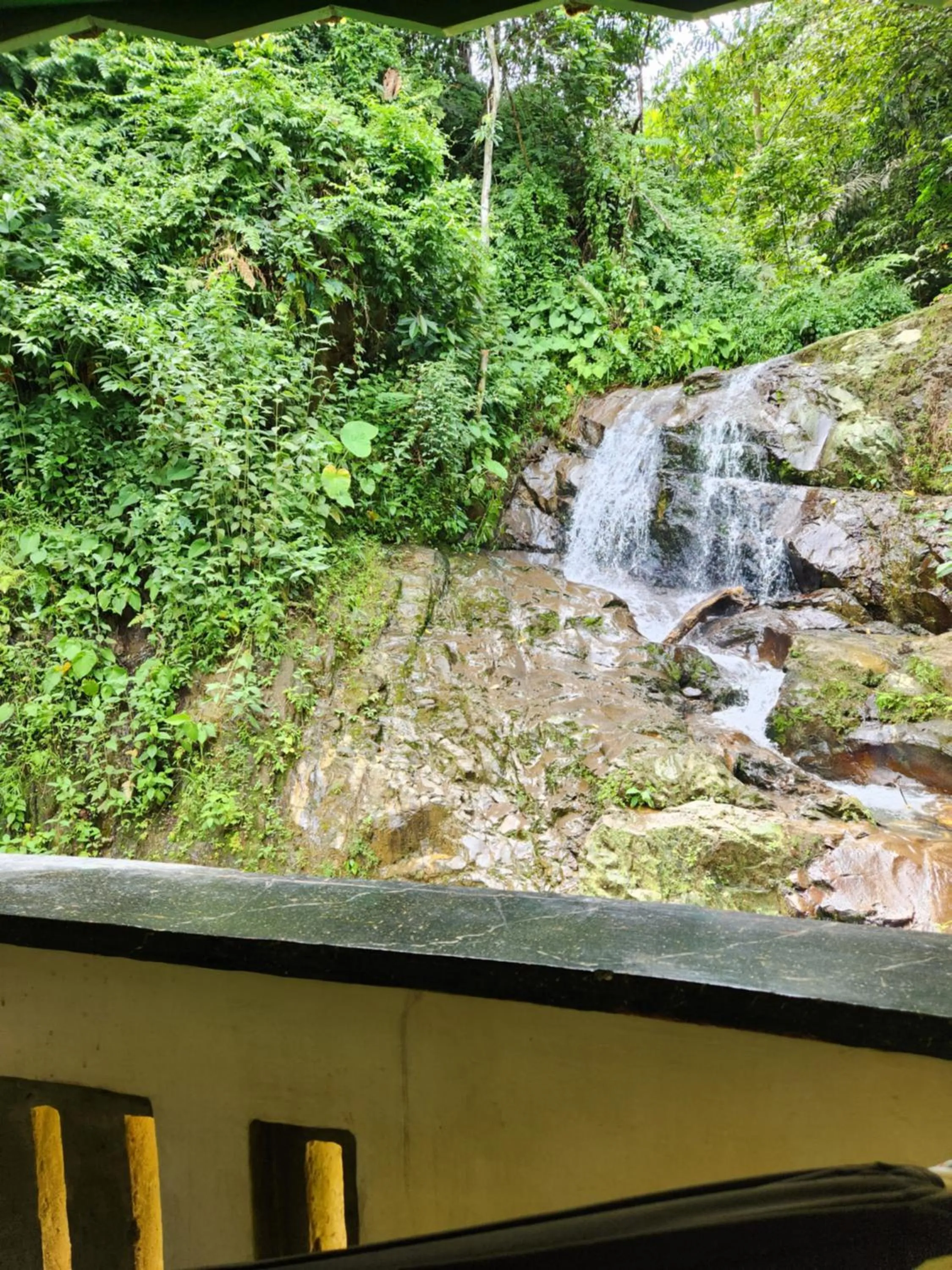 Jungle Inn Bukit lawang