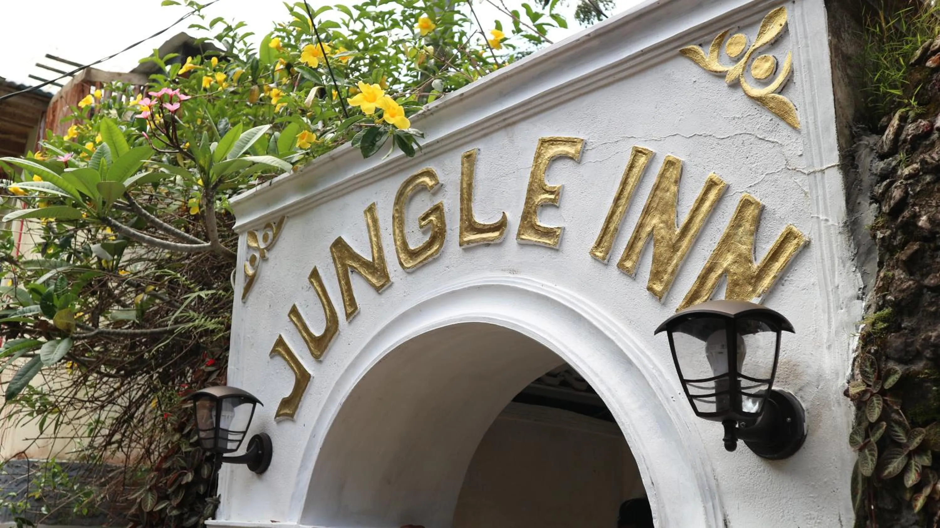 Jungle Inn Bukit lawang