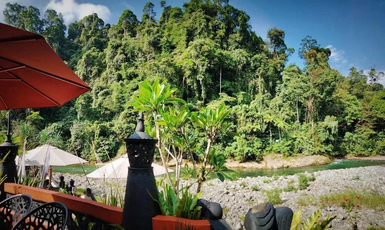 Jungle Inn Bukit lawang