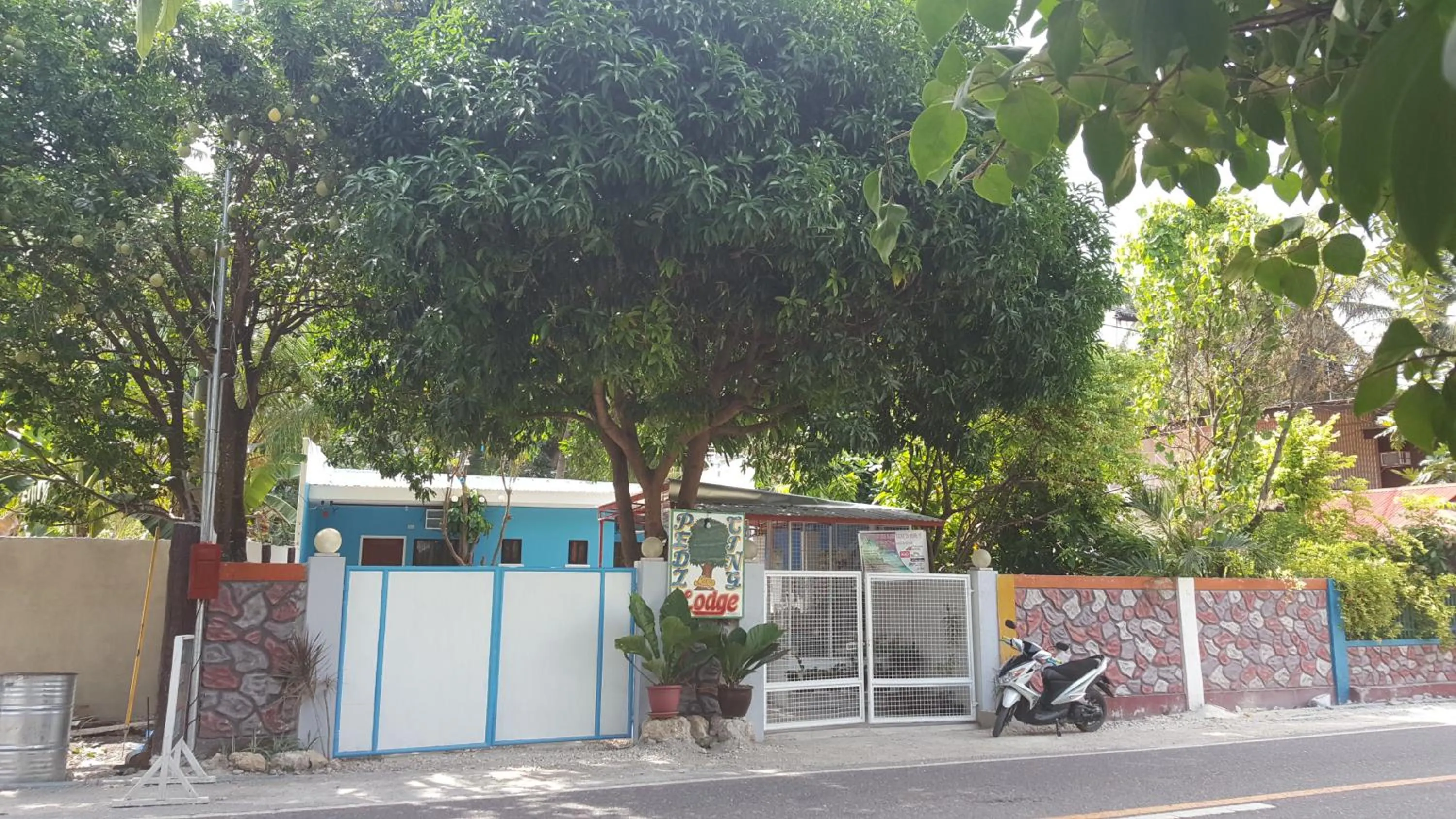 Area and facilities in Pedz Cing Mango Lodge