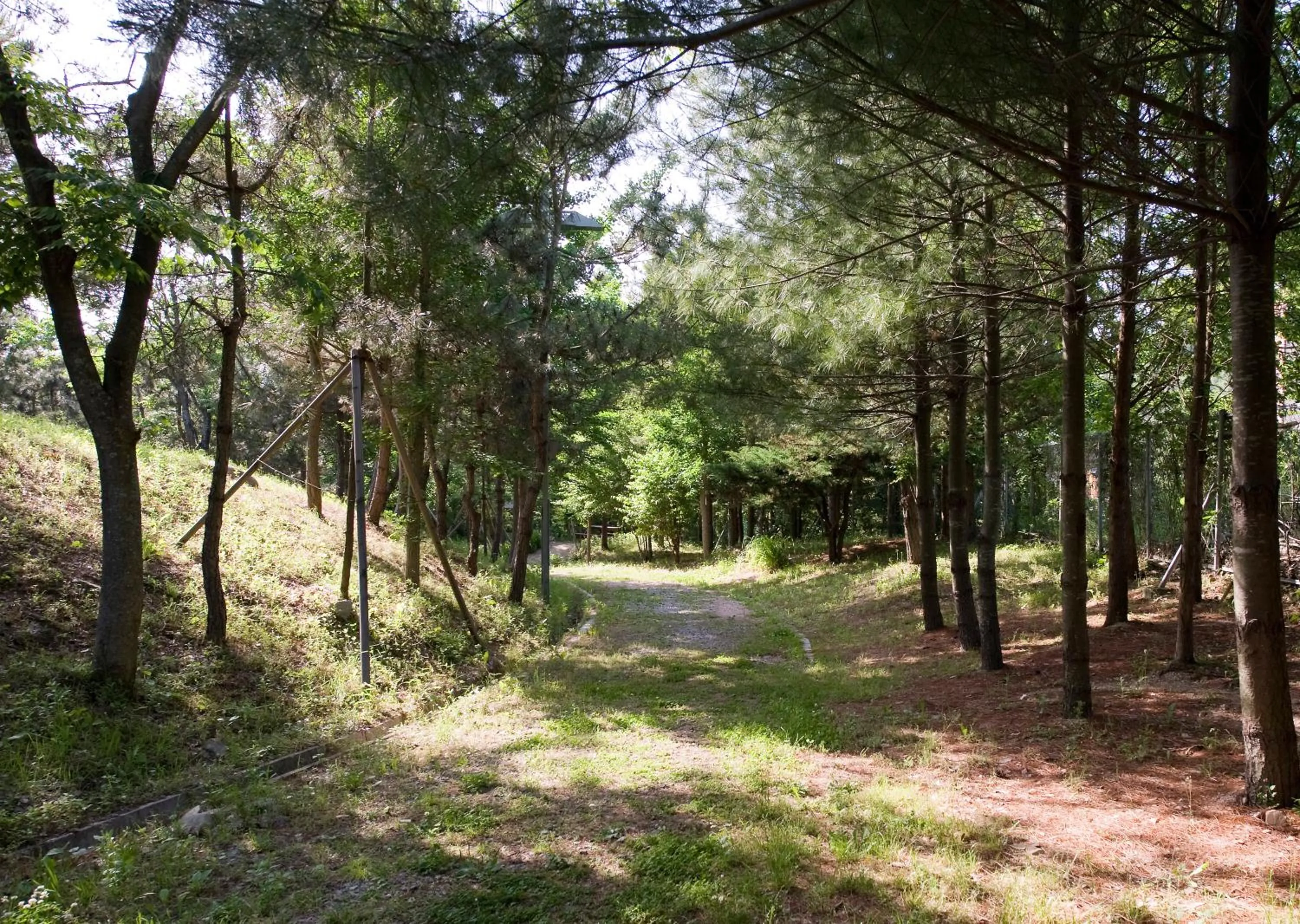 Natural landscape in The K Hotel Gyeongju