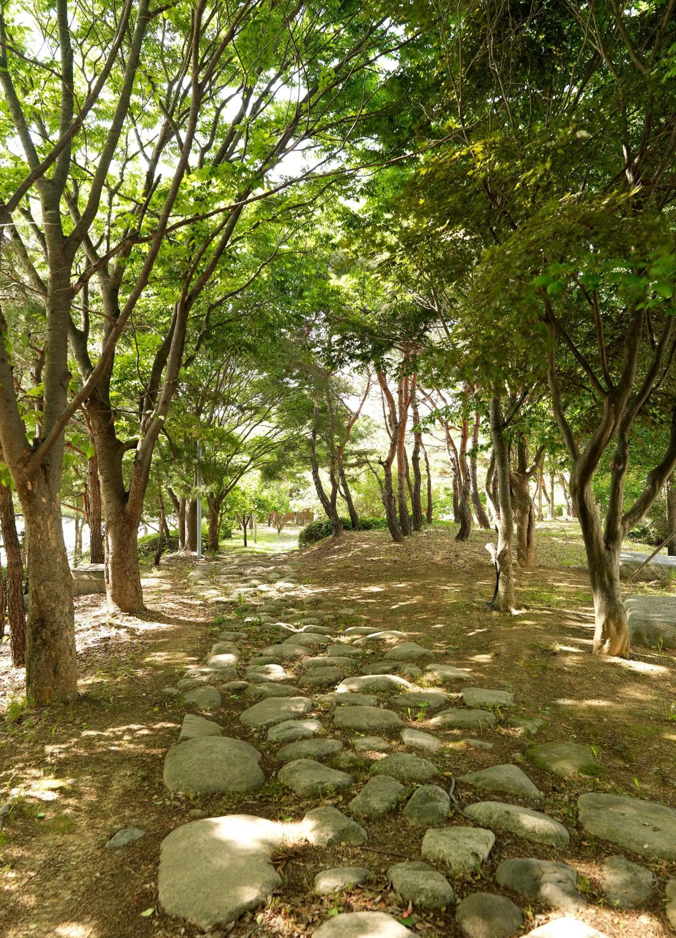 Natural landscape in The K Hotel Gyeongju