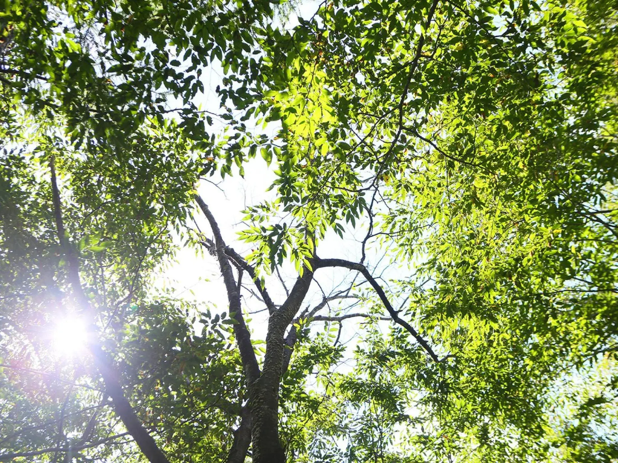 Property building in TAOYA Nikko Kirifuri Property building in TAOYA Nikko Kirifuri