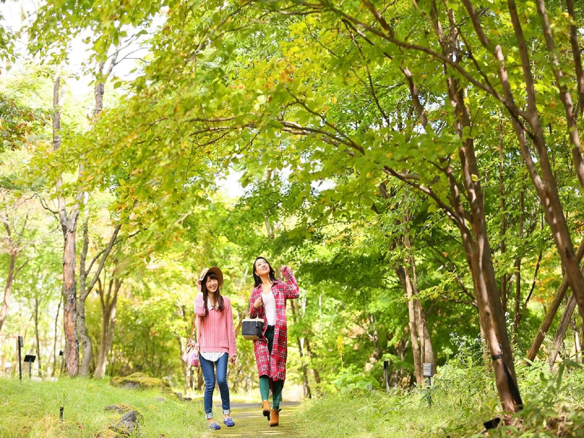 Garden in TAOYA Nikko Kirifuri
