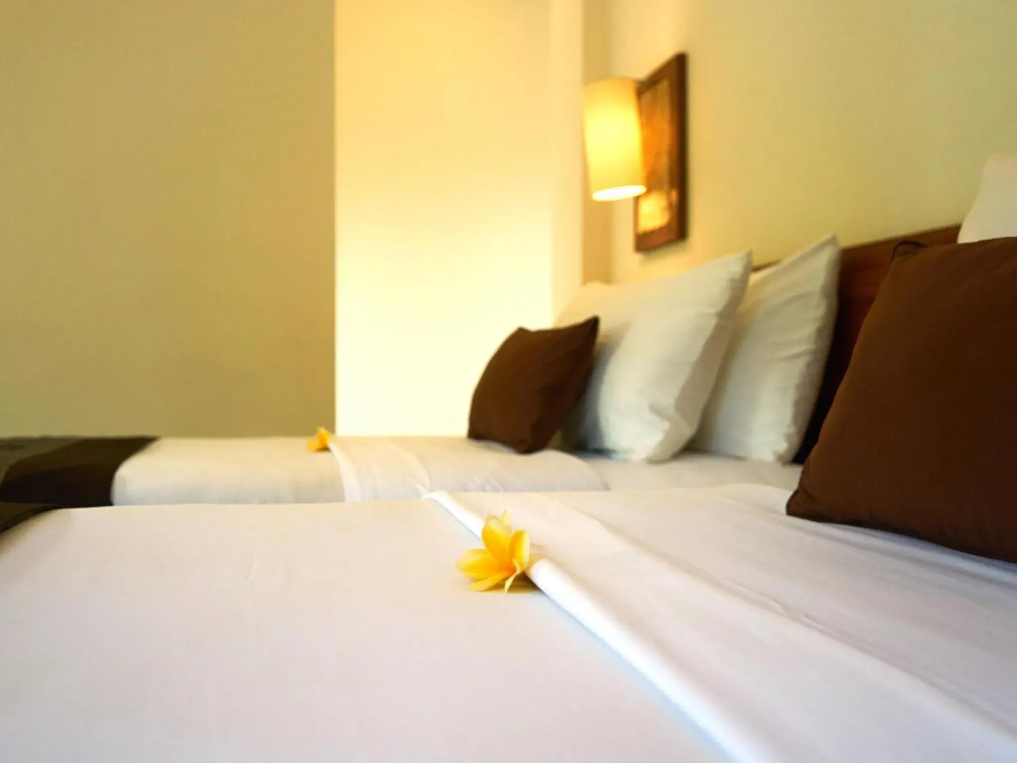 Deluxe Twin Room in Eden House Ubud Deluxe Twin Room in Eden House Ubud