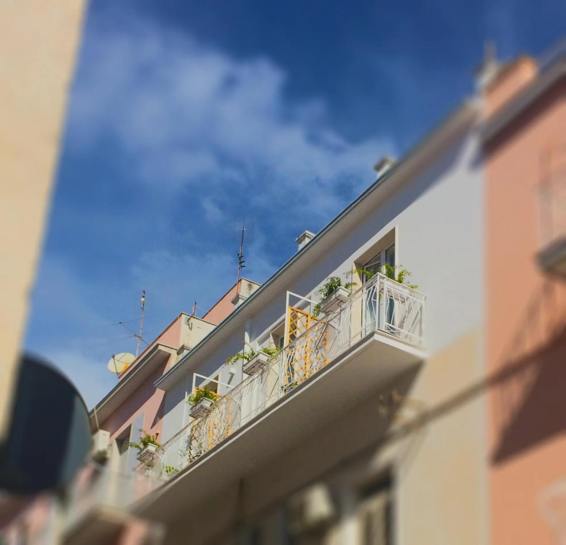 Property building in B&B Acqua di Sale