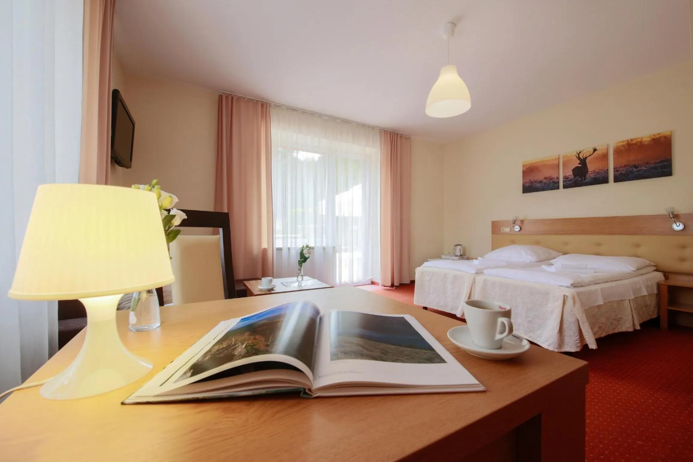 TV and multimedia, Bed in Hotel Łaziska