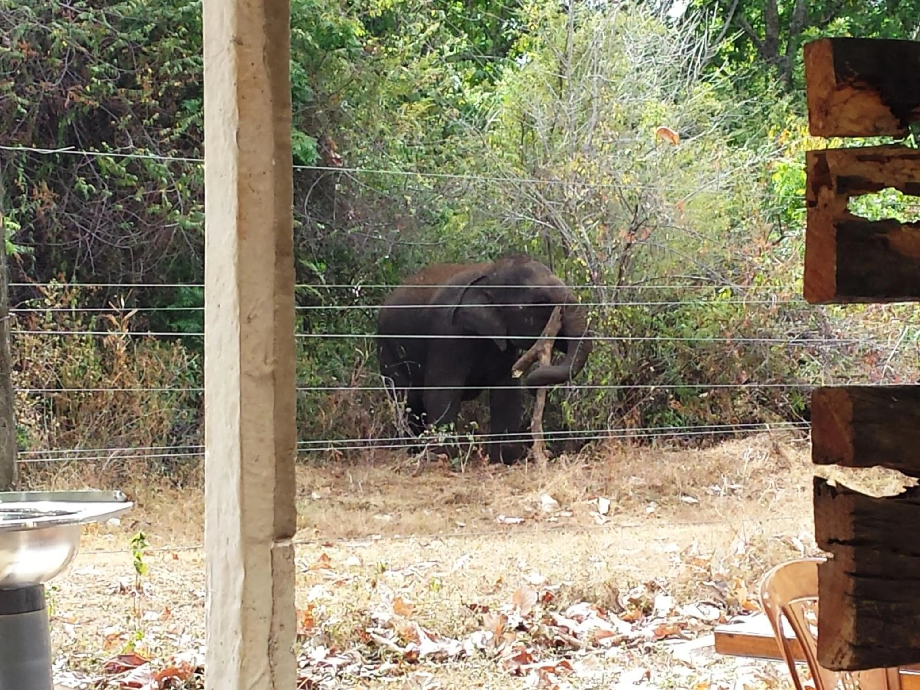 Property building in Greenwood Udawalawa Safari Resort