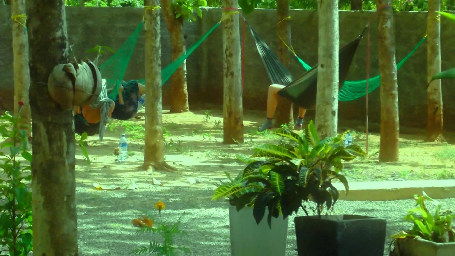 Area and facilities in Greenwood Udawalawa Safari Resort