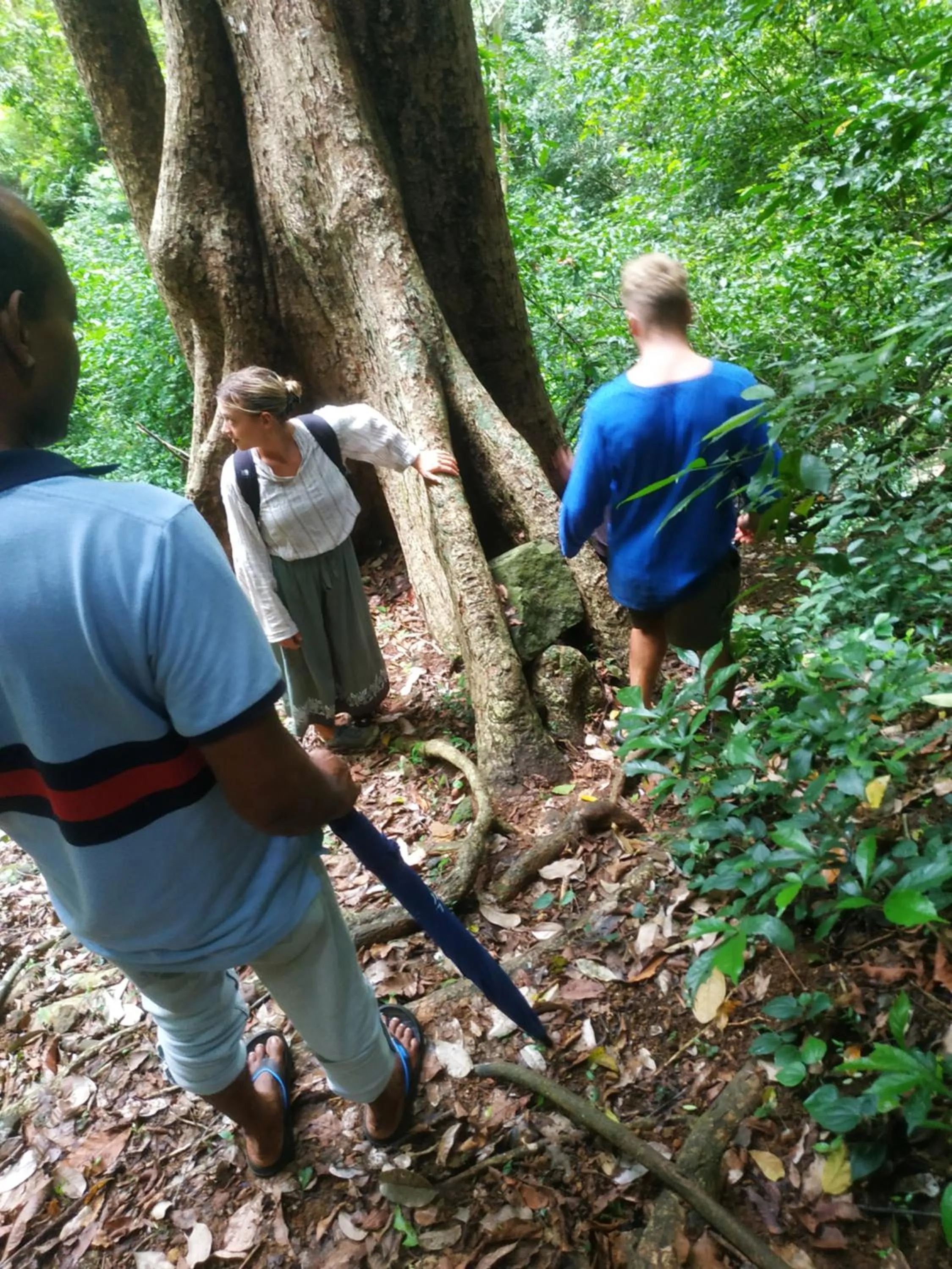 Activities in Greenwood Udawalawa Safari Resort