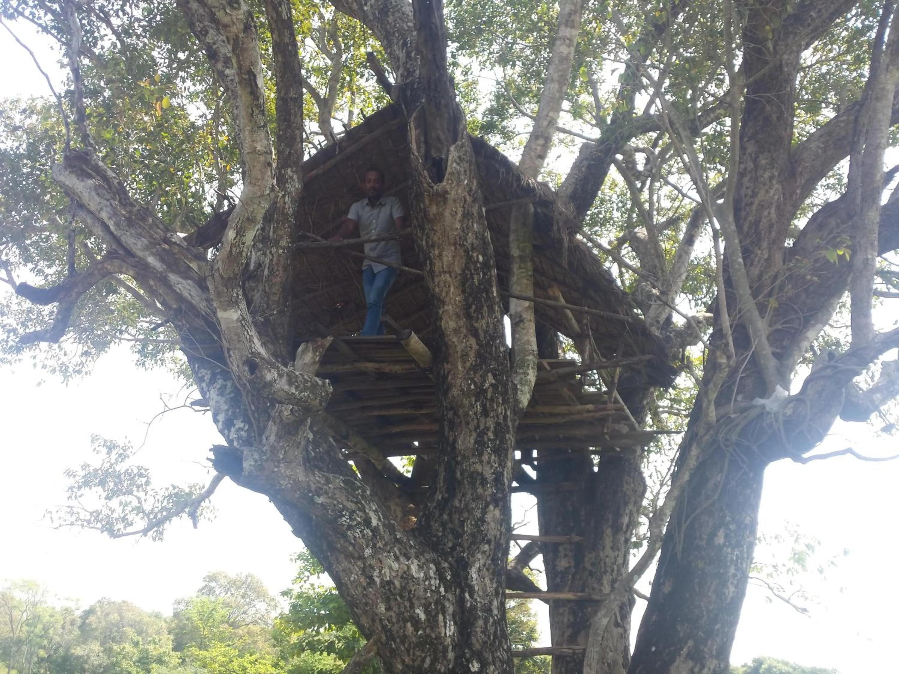 Garden in Greenwood Udawalawa Safari Resort