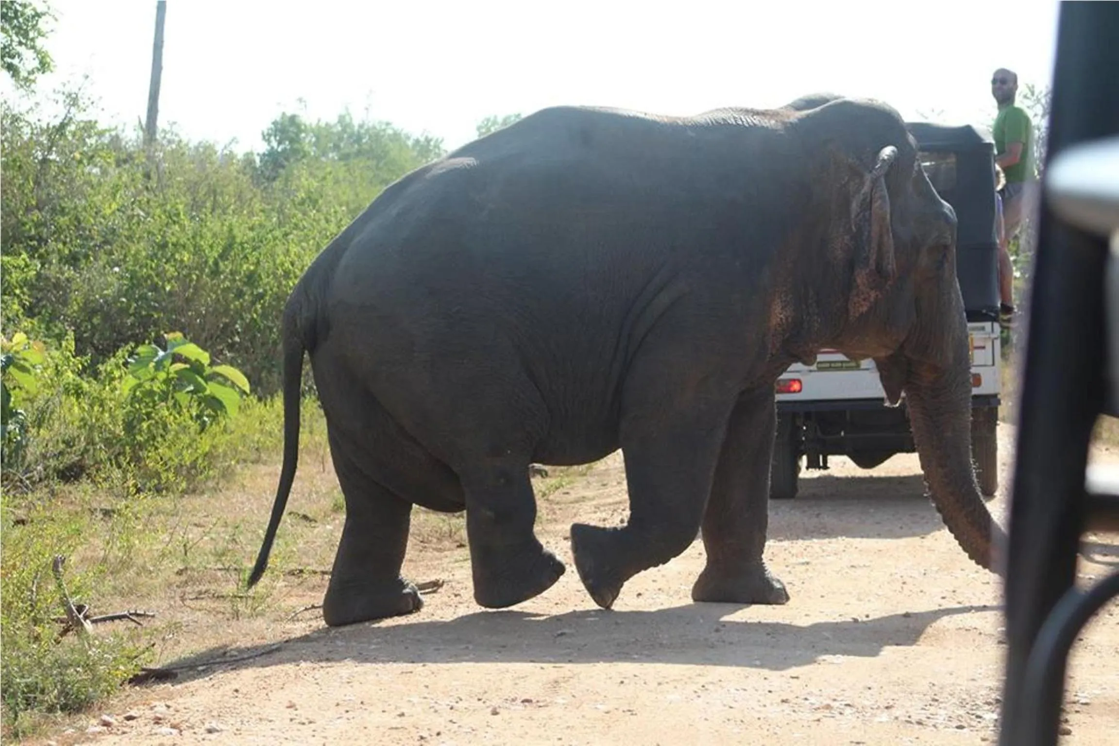 Off site in Greenwood Udawalawa Safari Resort