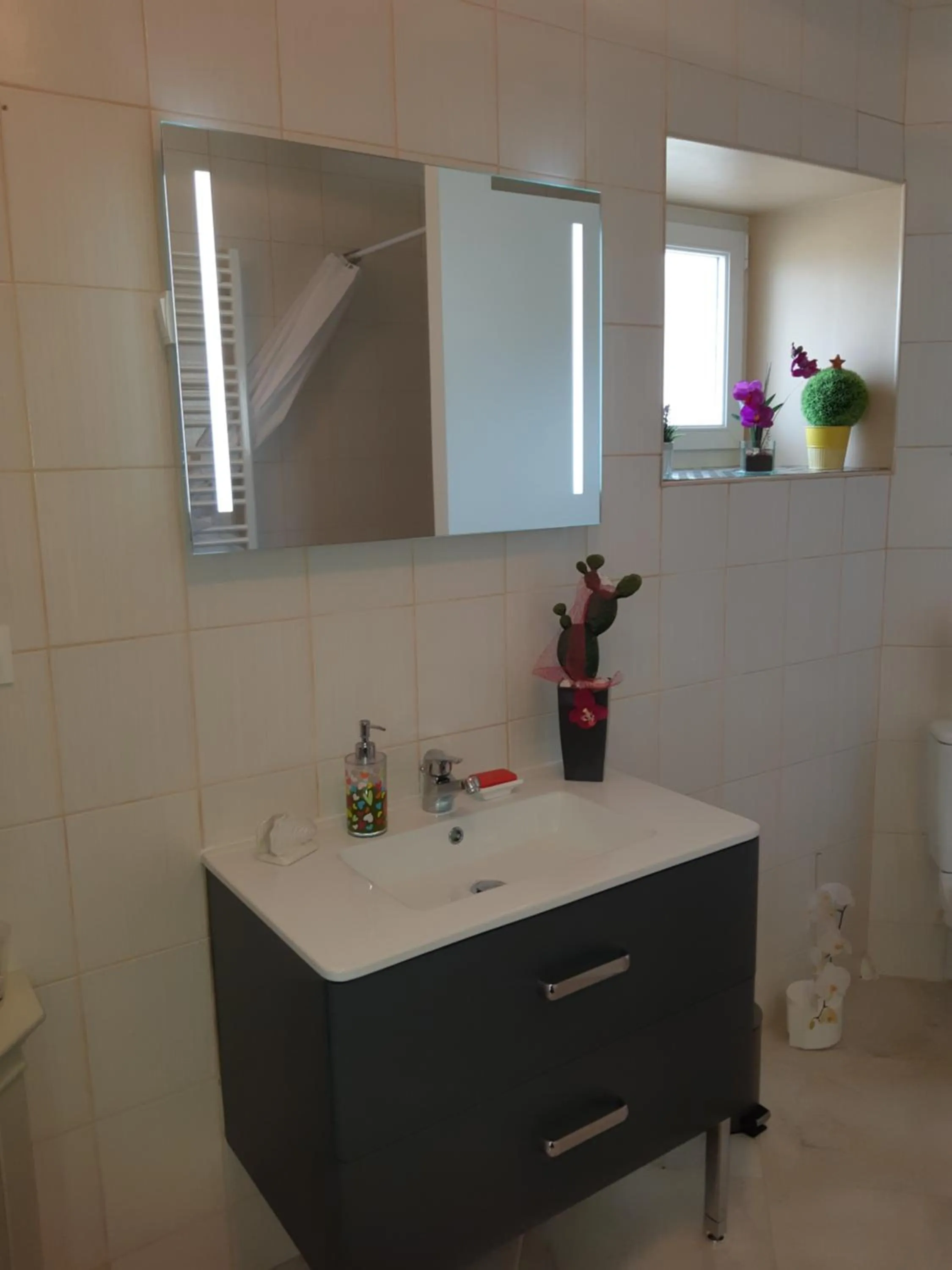 Chambre d'Hôtes Les Orchidées FUTUROSCOPE CHASSENEUIL POITIERS