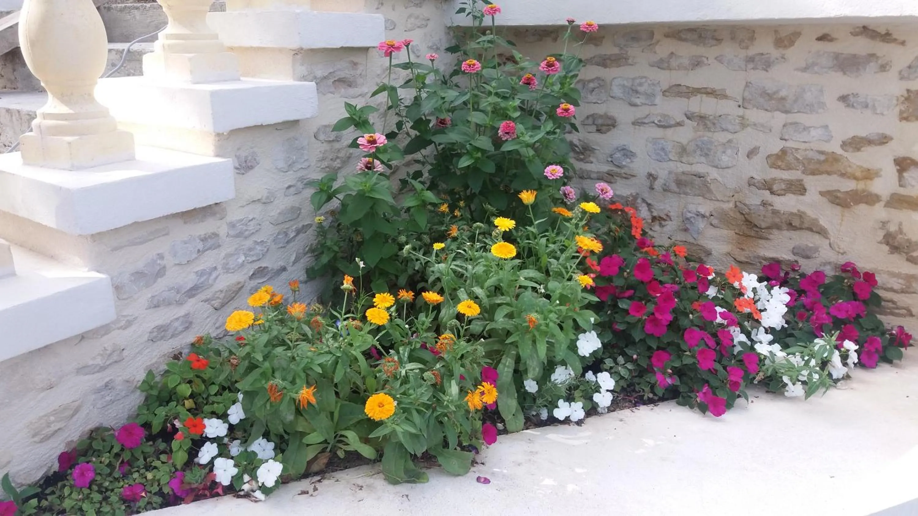 Garden in Chambre d'Hôtes Les Orchidées FUTUROSCOPE CHASSENEUIL POITIERS