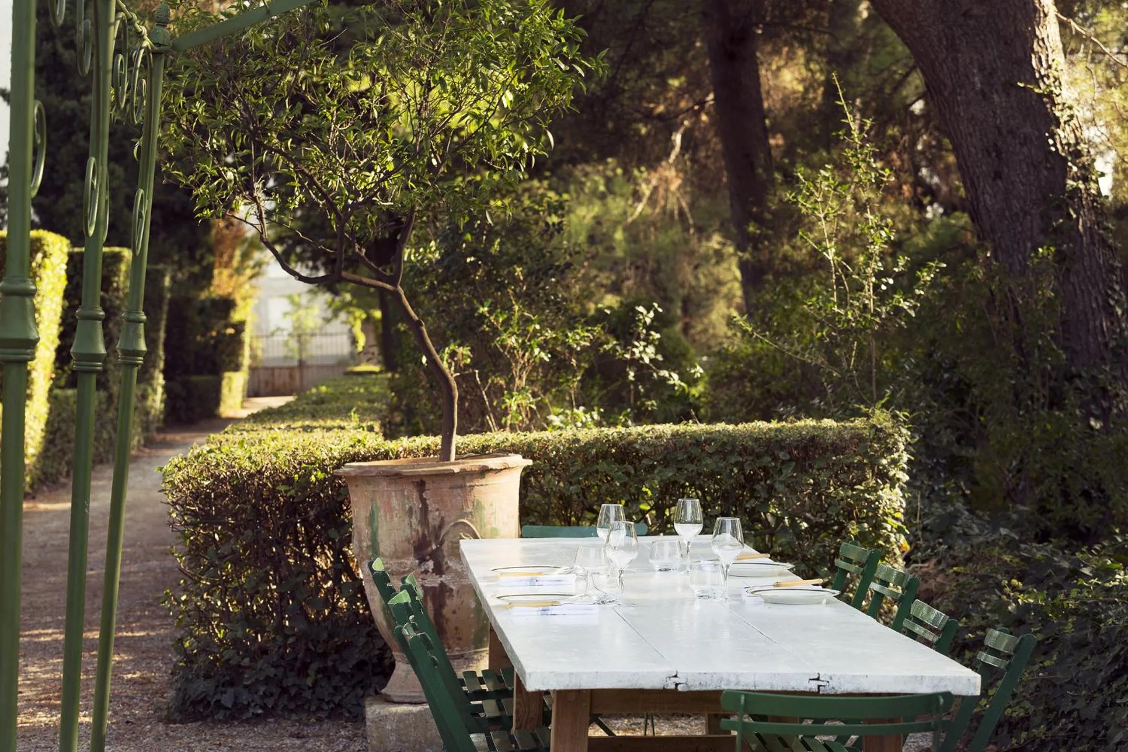 Garden in Mas de Lafeuillade