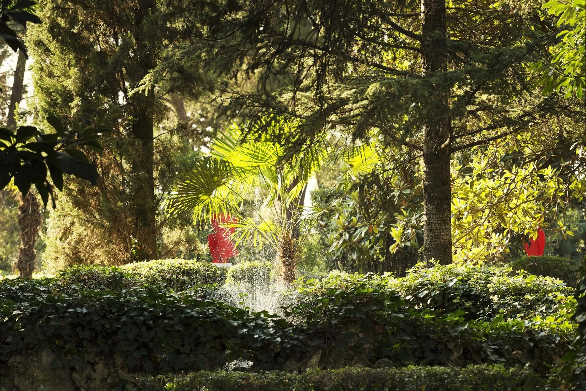 Garden in Mas de Lafeuillade