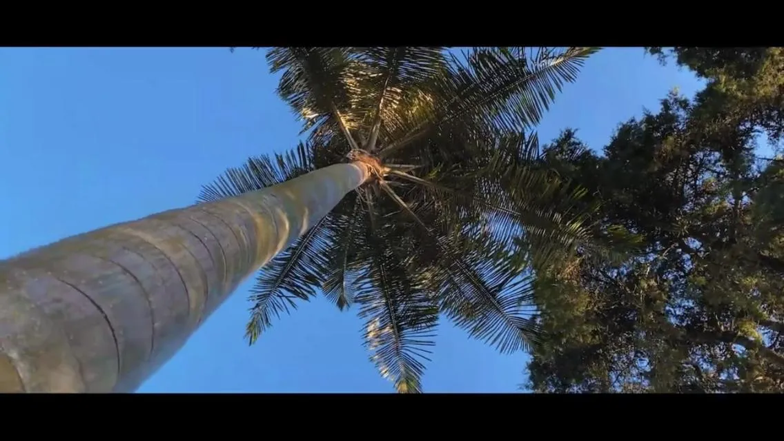 Hostal Johnnier Macao Punta Cana