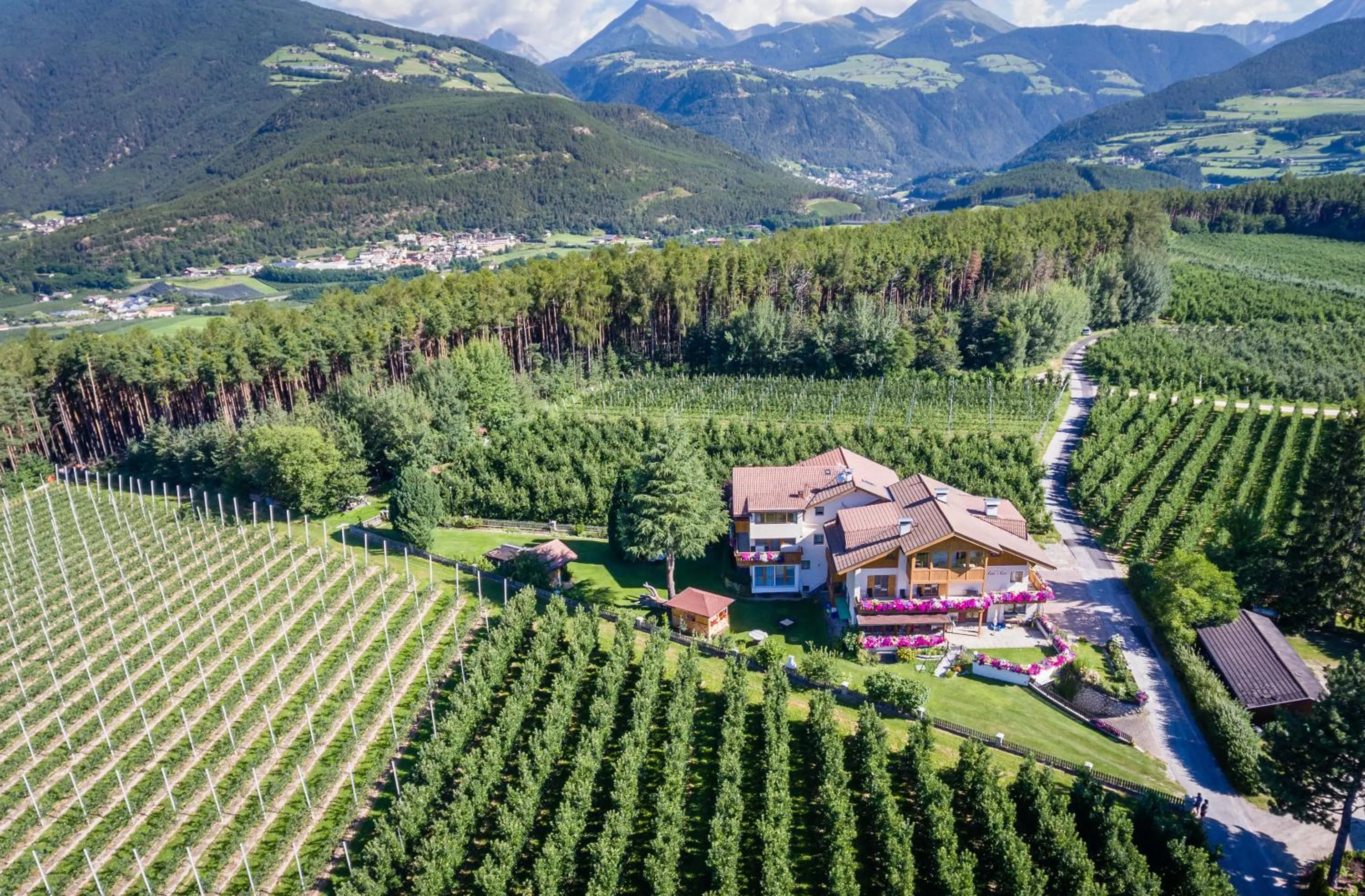 Bird's eye view in Pension Haus am See