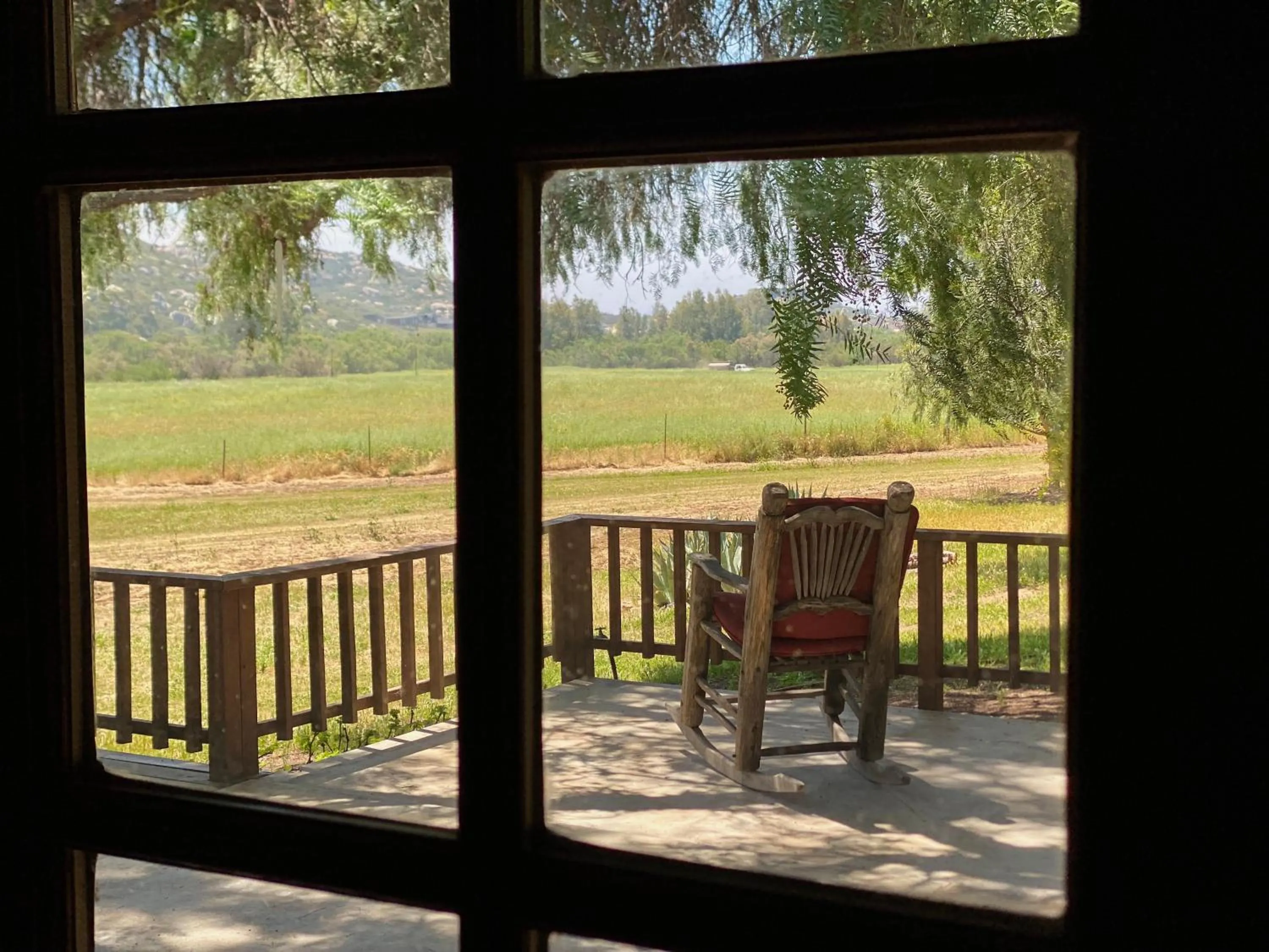 Patio in Rancho Toros Pintos