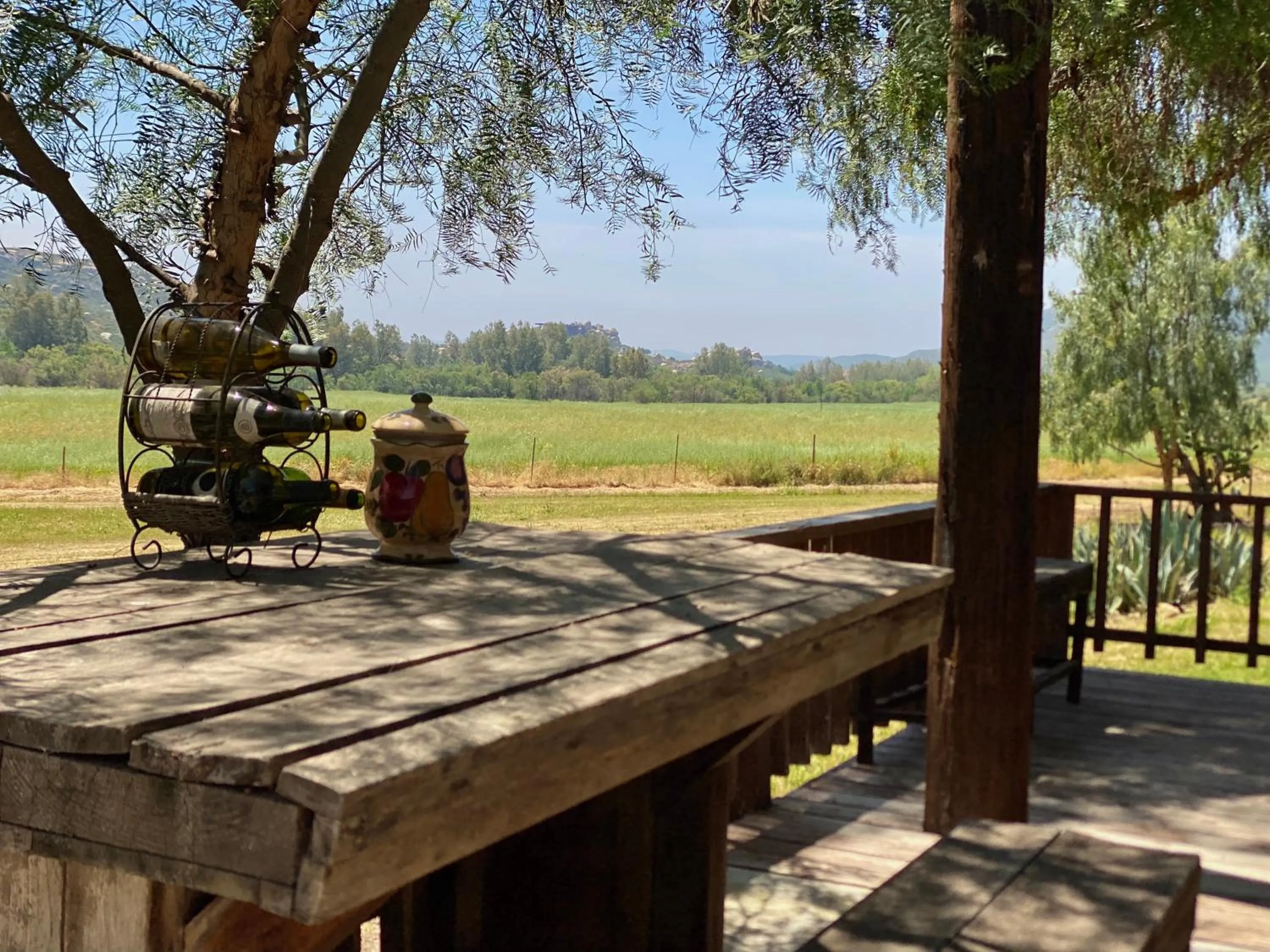 Patio in Rancho Toros Pintos